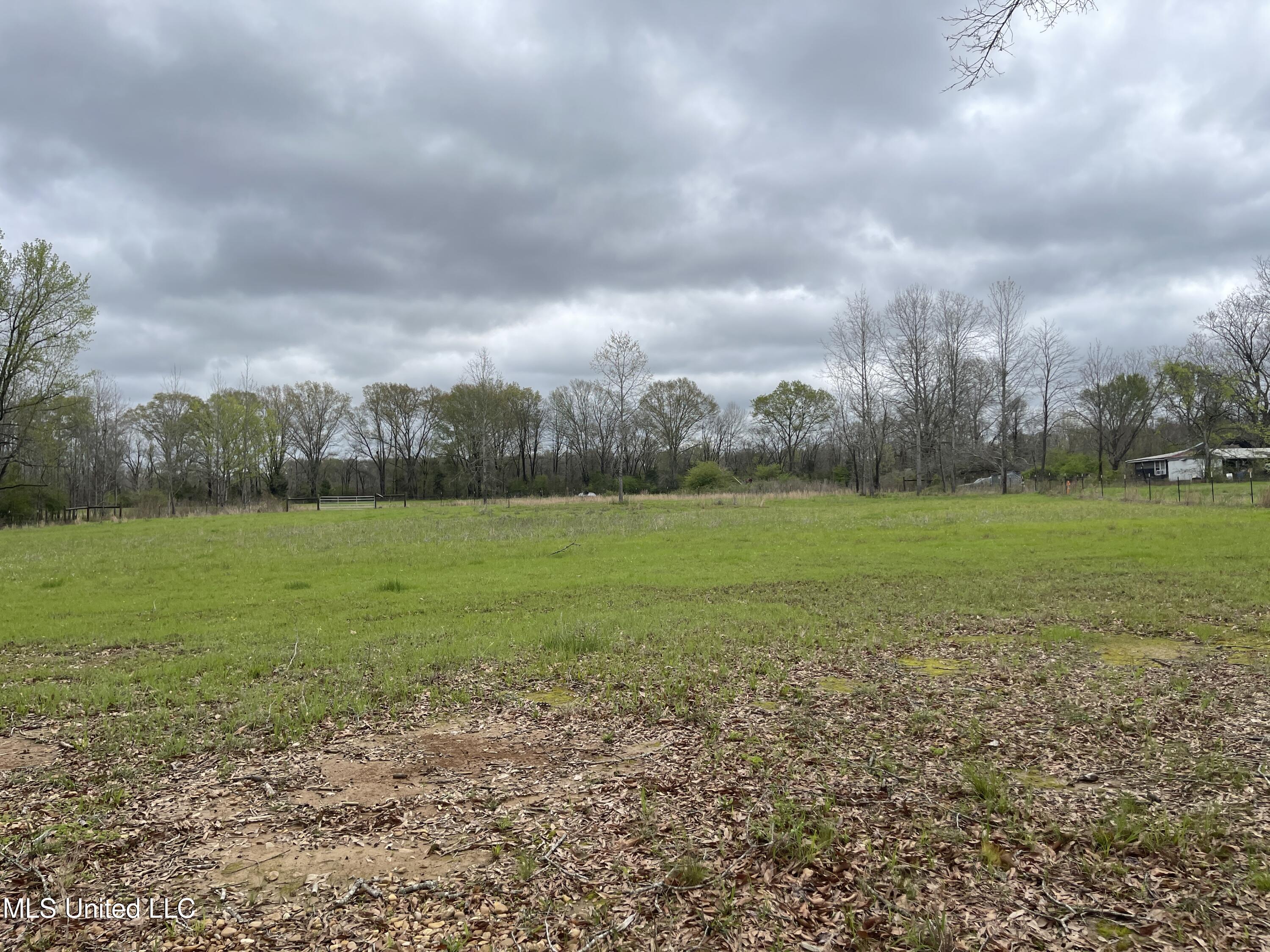386 W Brown Road, Canton, Mississippi image 5