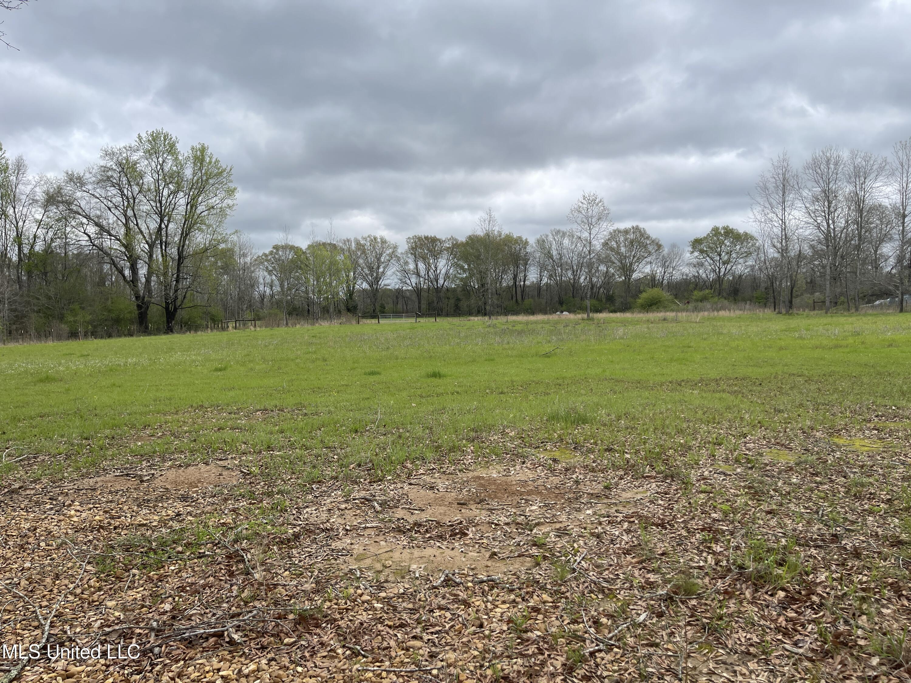 386 W Brown Road, Canton, Mississippi image 4