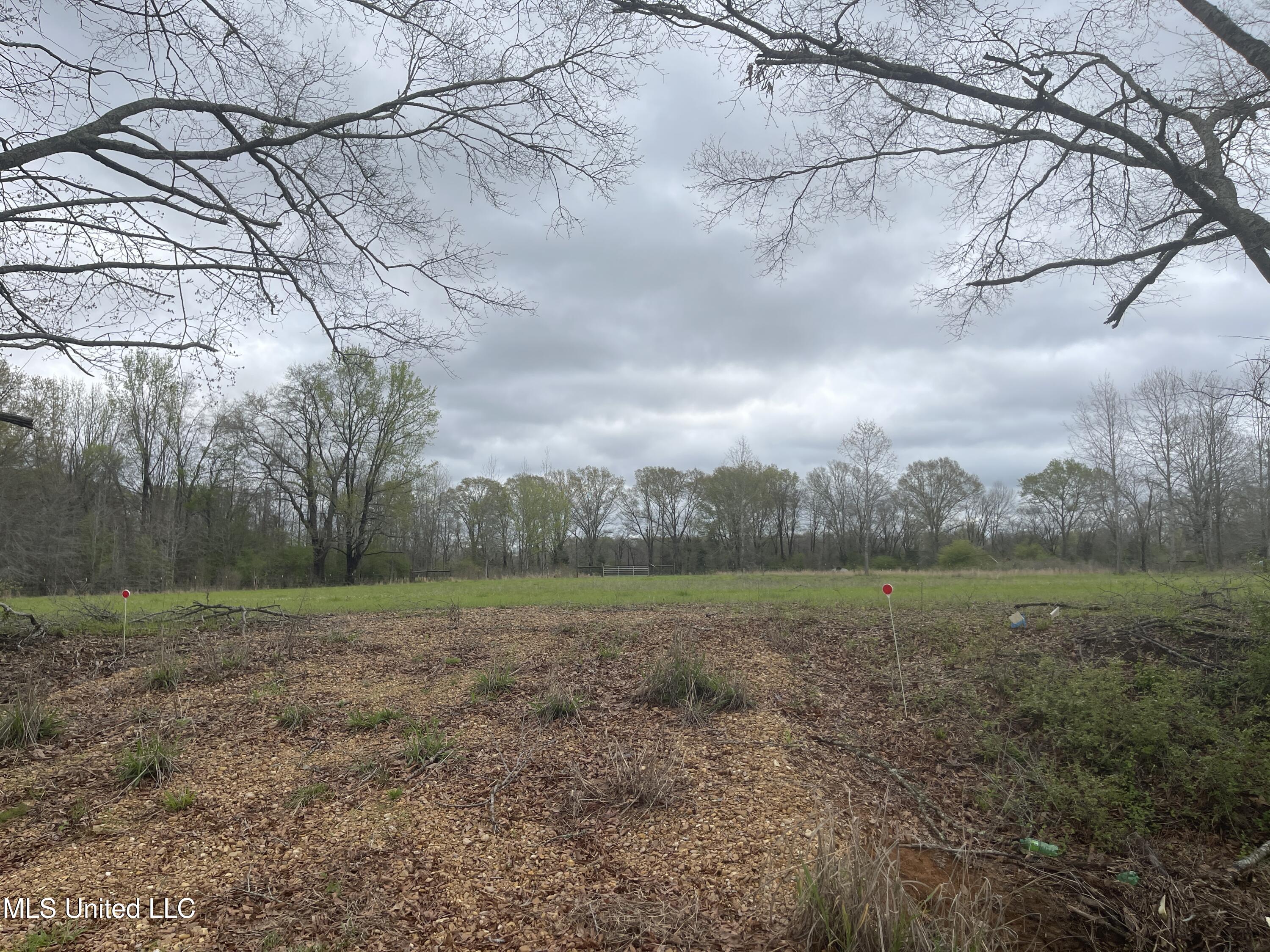 386 W Brown Road, Canton, Mississippi image 2