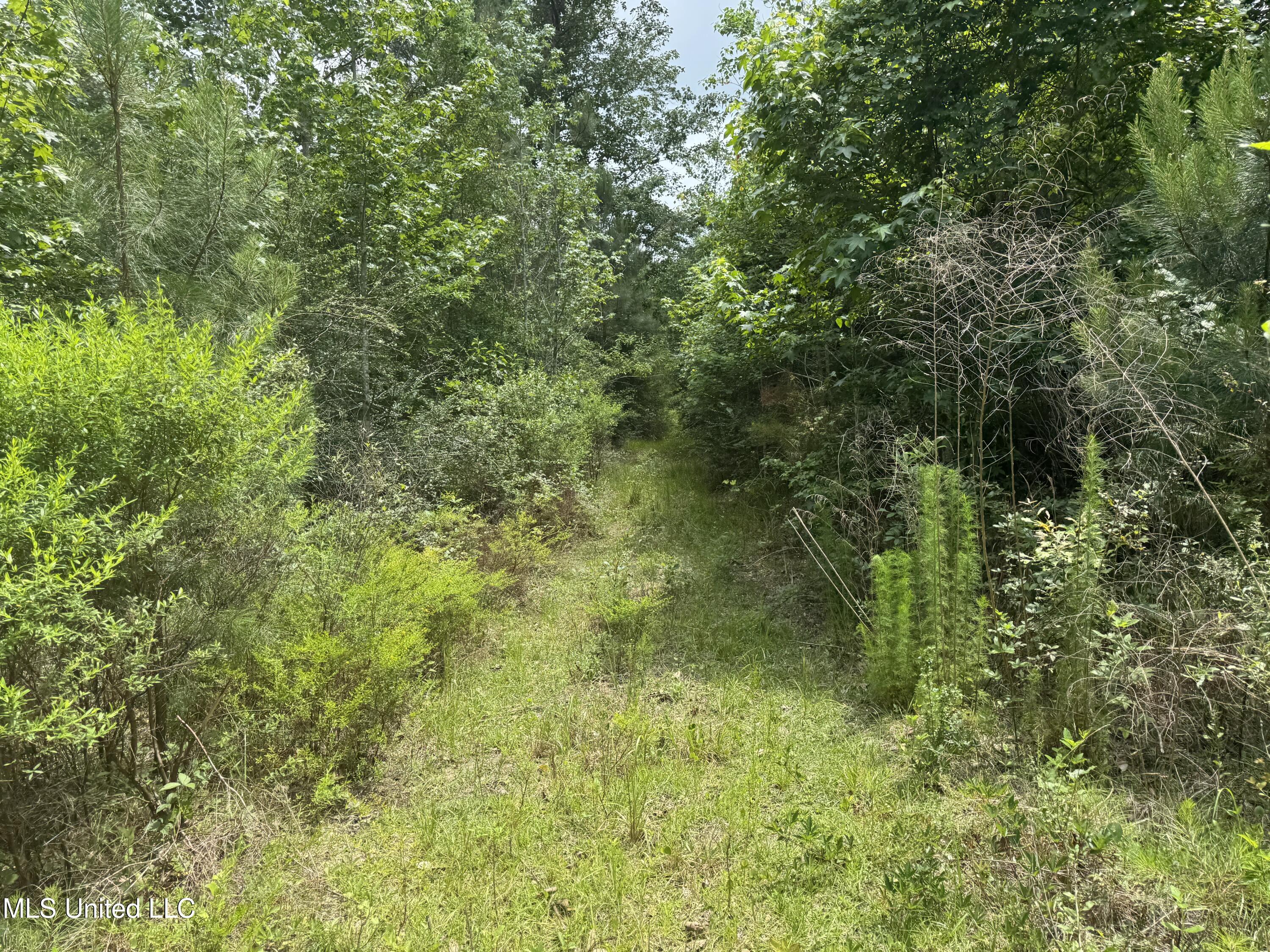 18611 Reese Drive, Saucier, Mississippi image 8