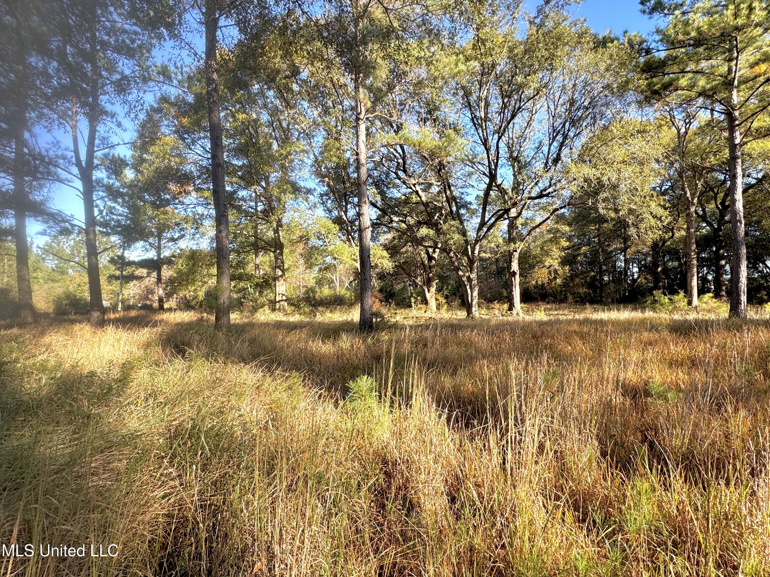 Rayford Shumock Road, Moss Point, Mississippi image 5