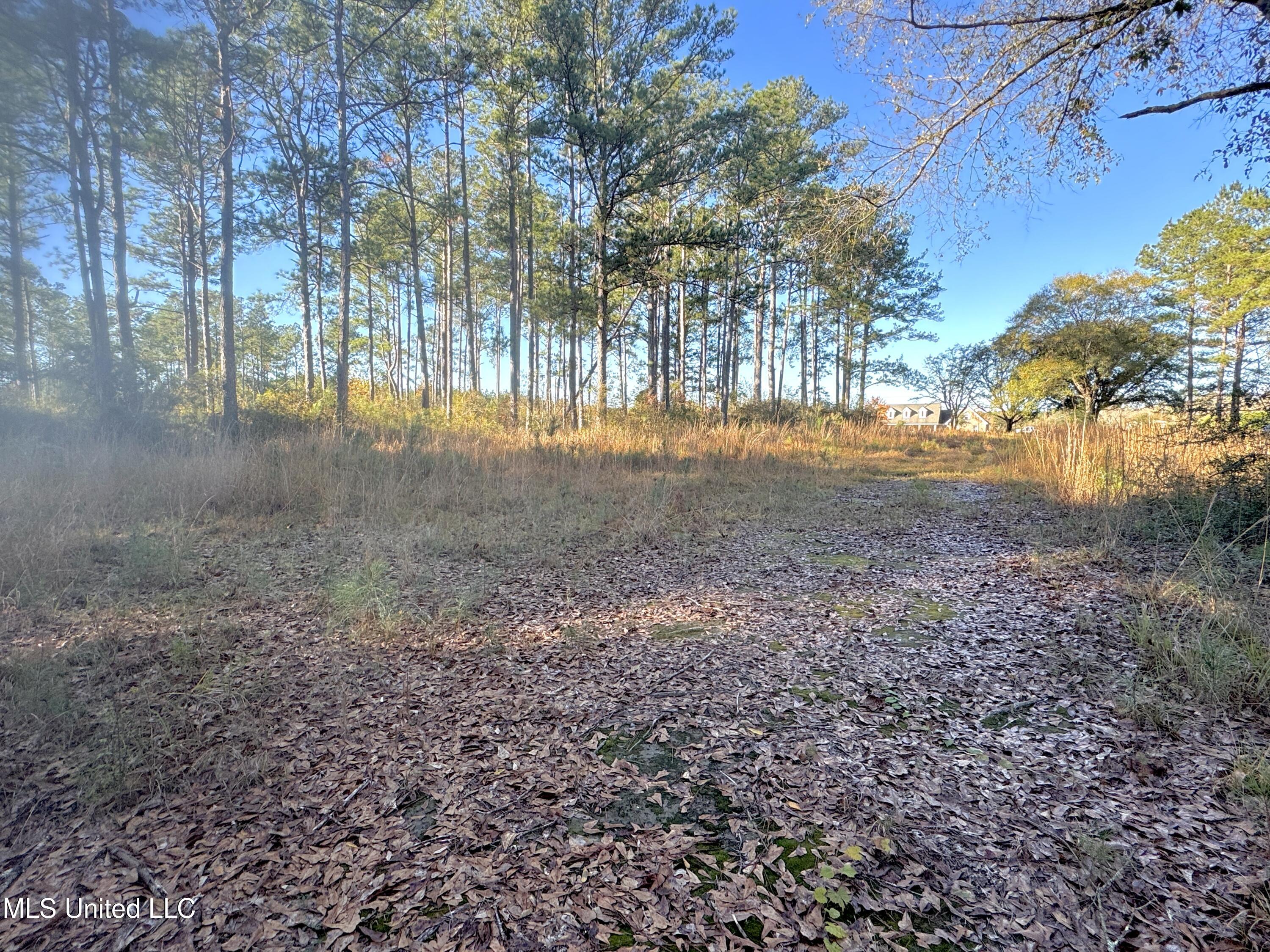 Rayford Shumock Road, Moss Point, Mississippi image 16