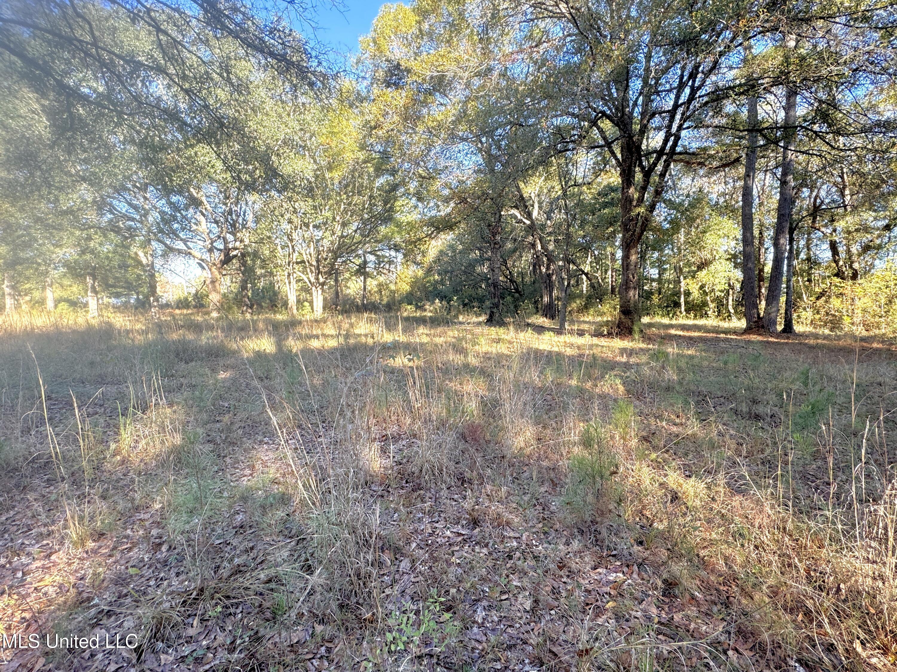 Rayford Shumock Road, Moss Point, Mississippi image 13