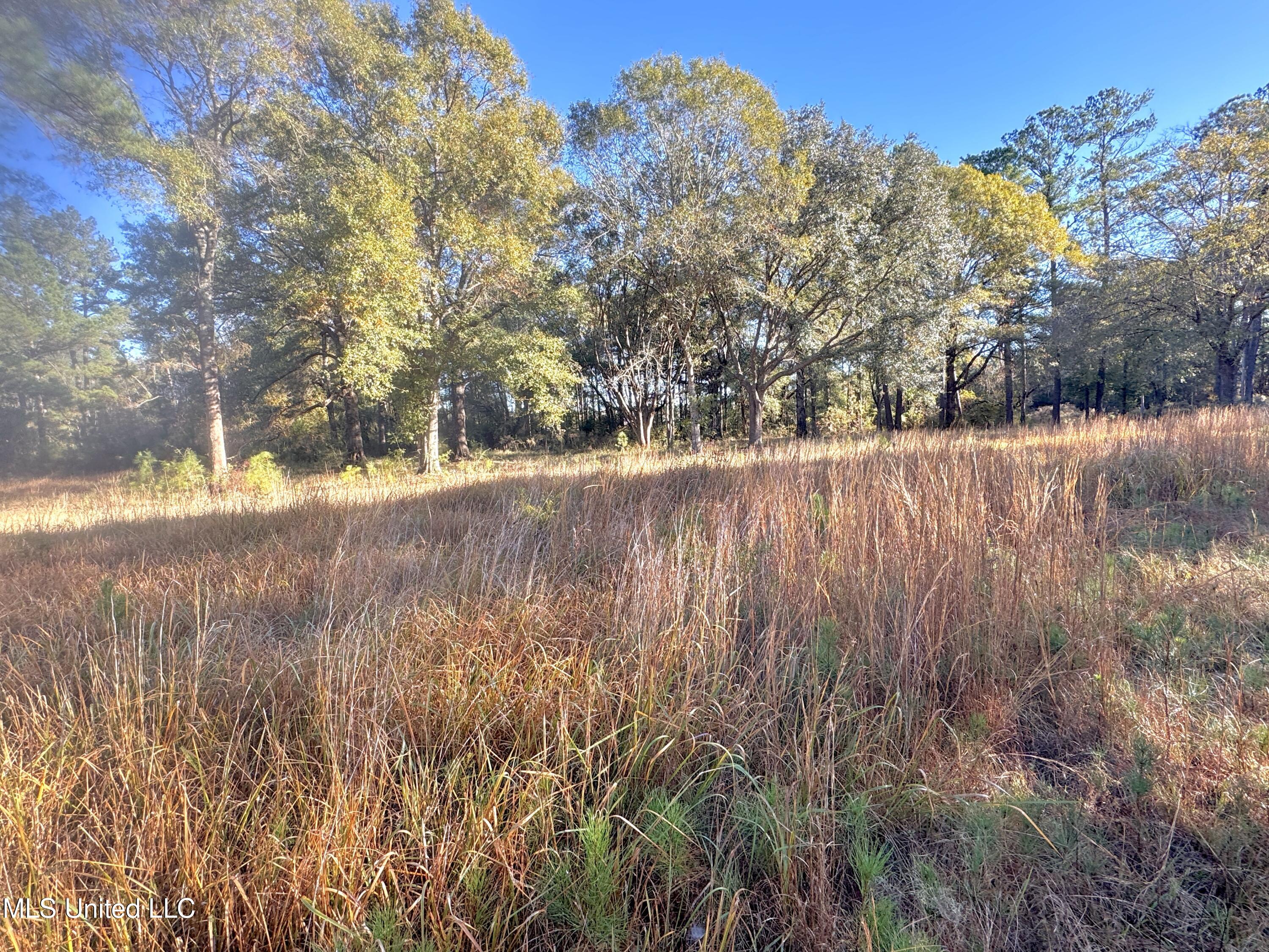 Rayford Shumock Road, Moss Point, Mississippi image 7