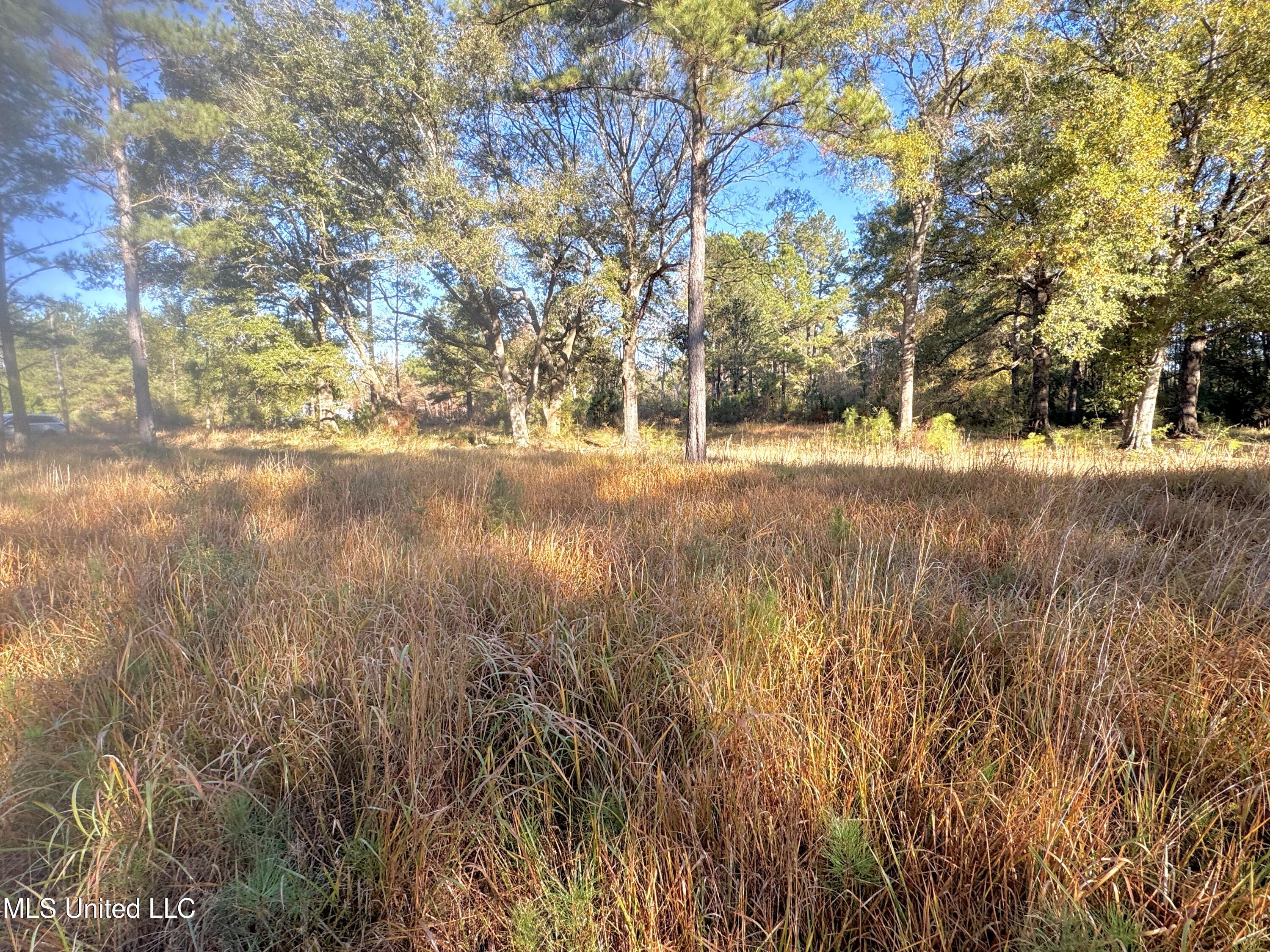 Rayford Shumock Road, Moss Point, Mississippi image 9