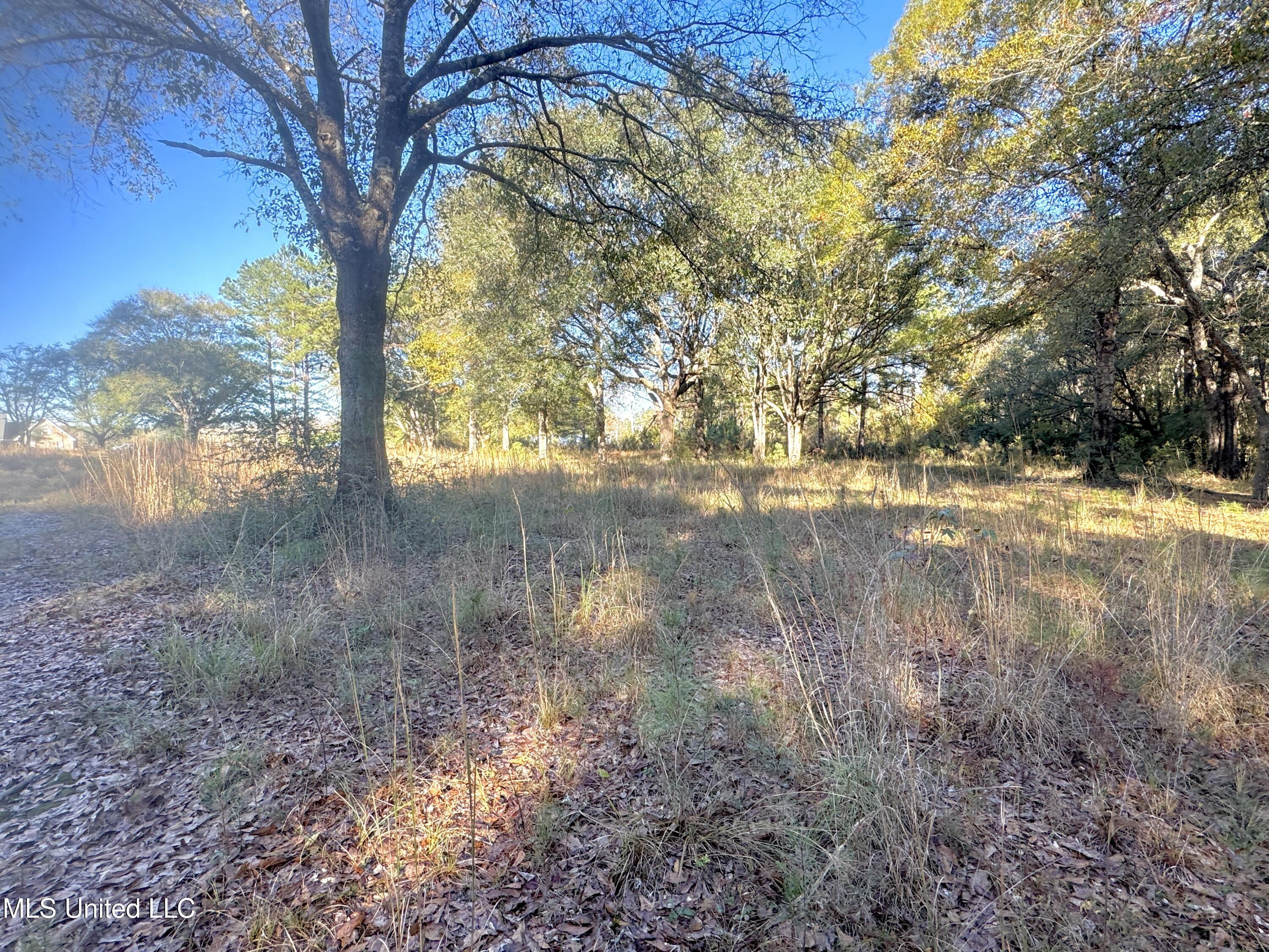 Rayford Shumock Road, Moss Point, Mississippi image 14