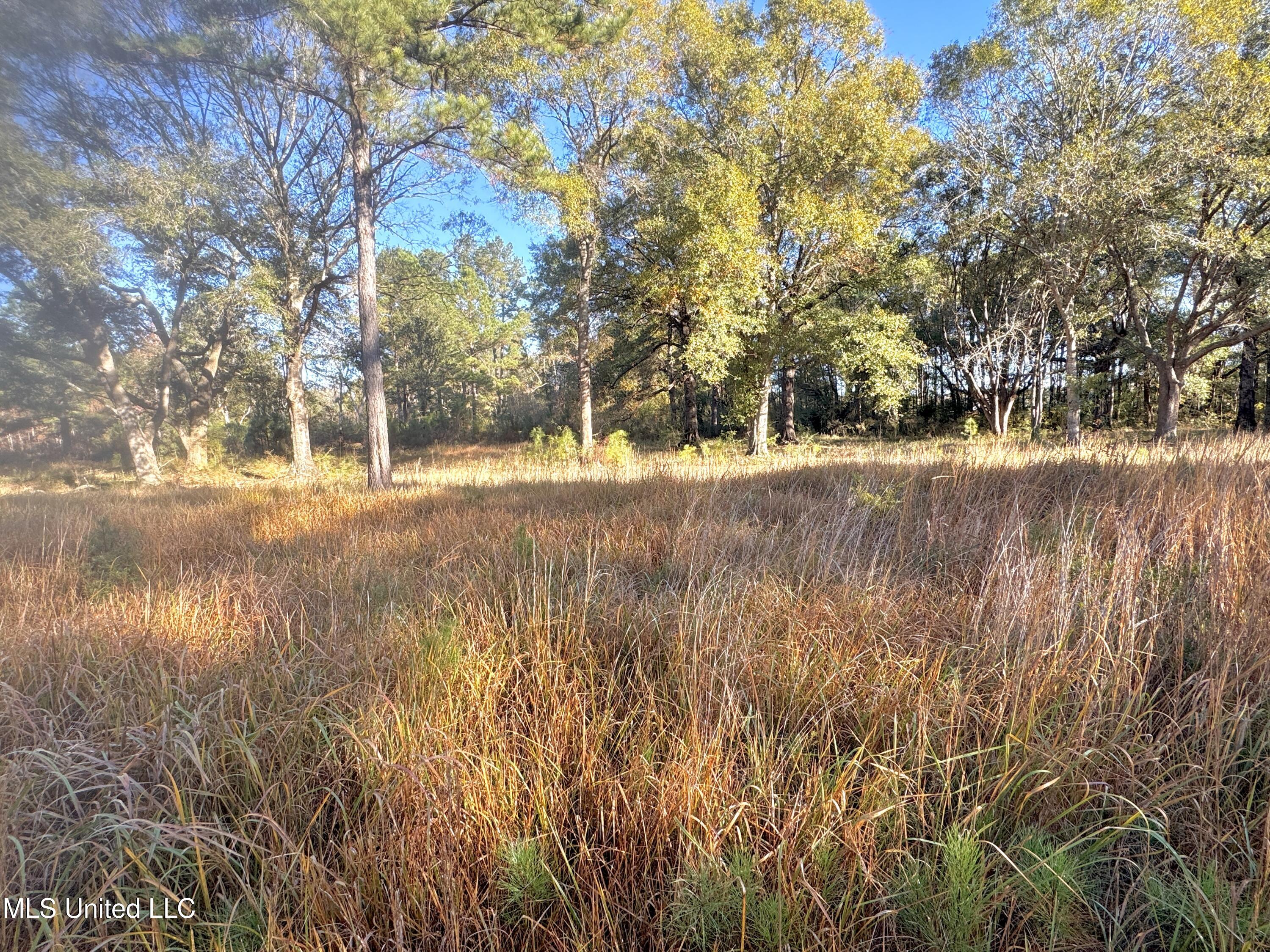 Rayford Shumock Road, Moss Point, Mississippi image 8