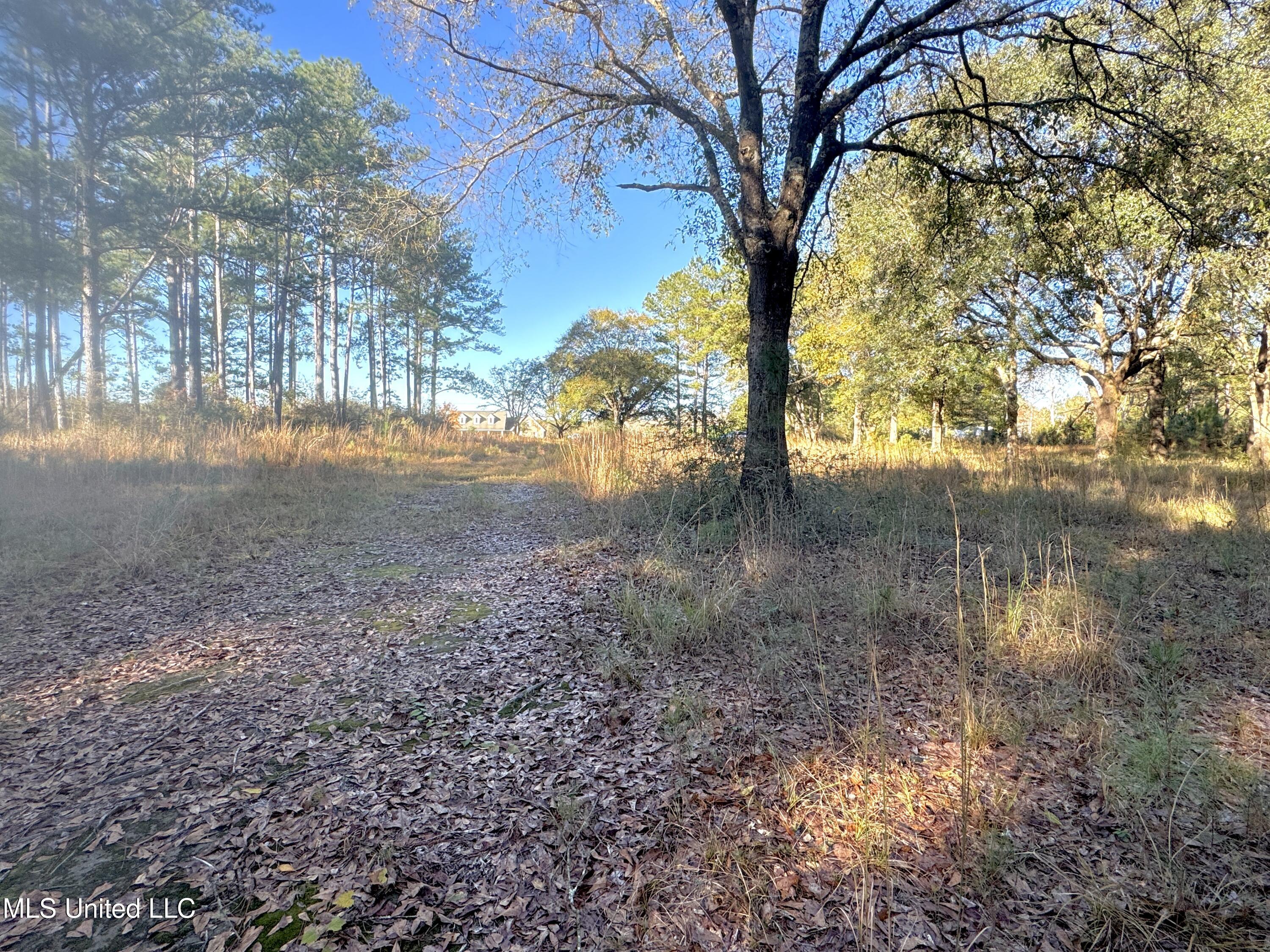 Rayford Shumock Road, Moss Point, Mississippi image 15