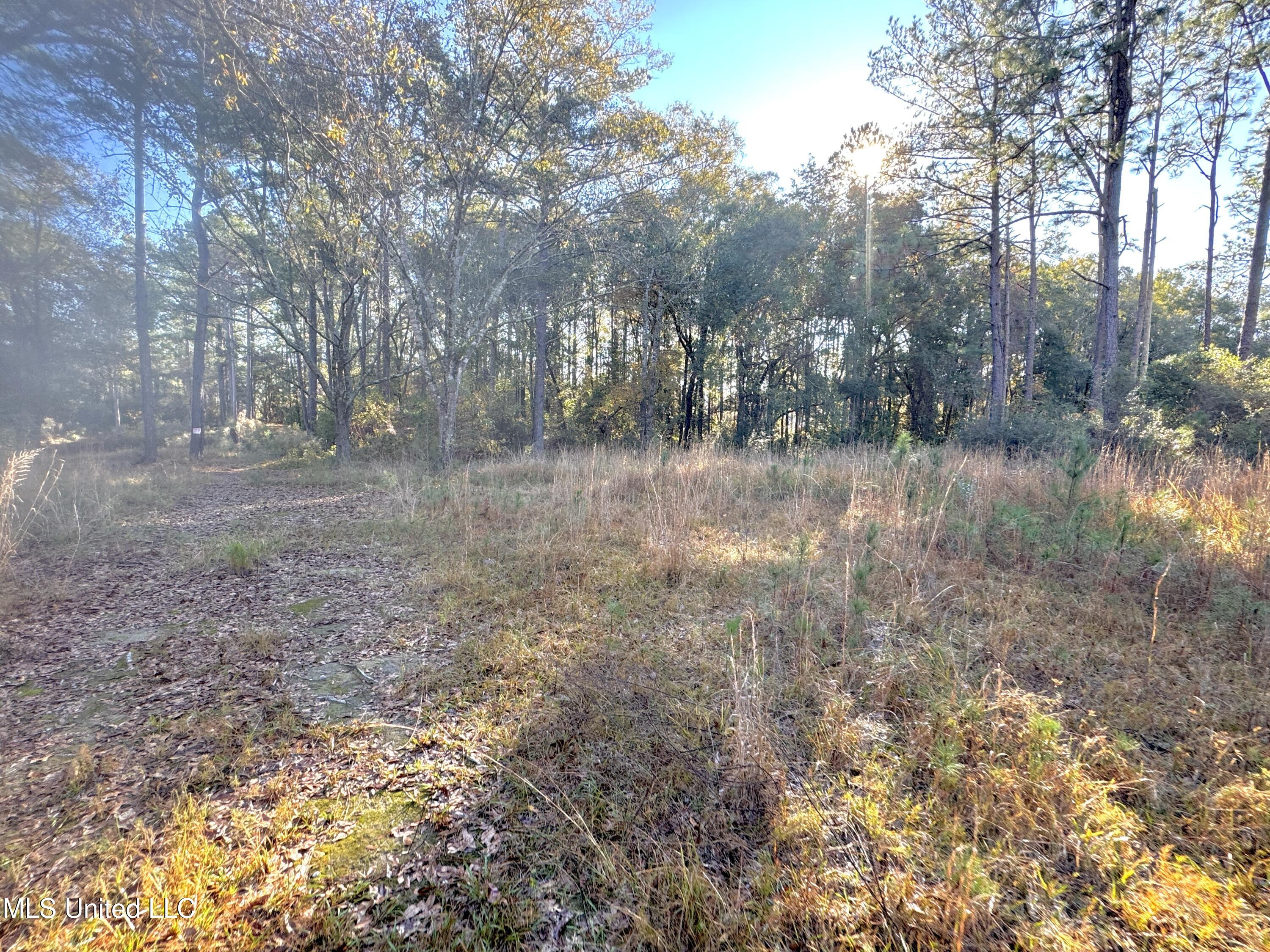 Rayford Shumock Road, Moss Point, Mississippi image 11