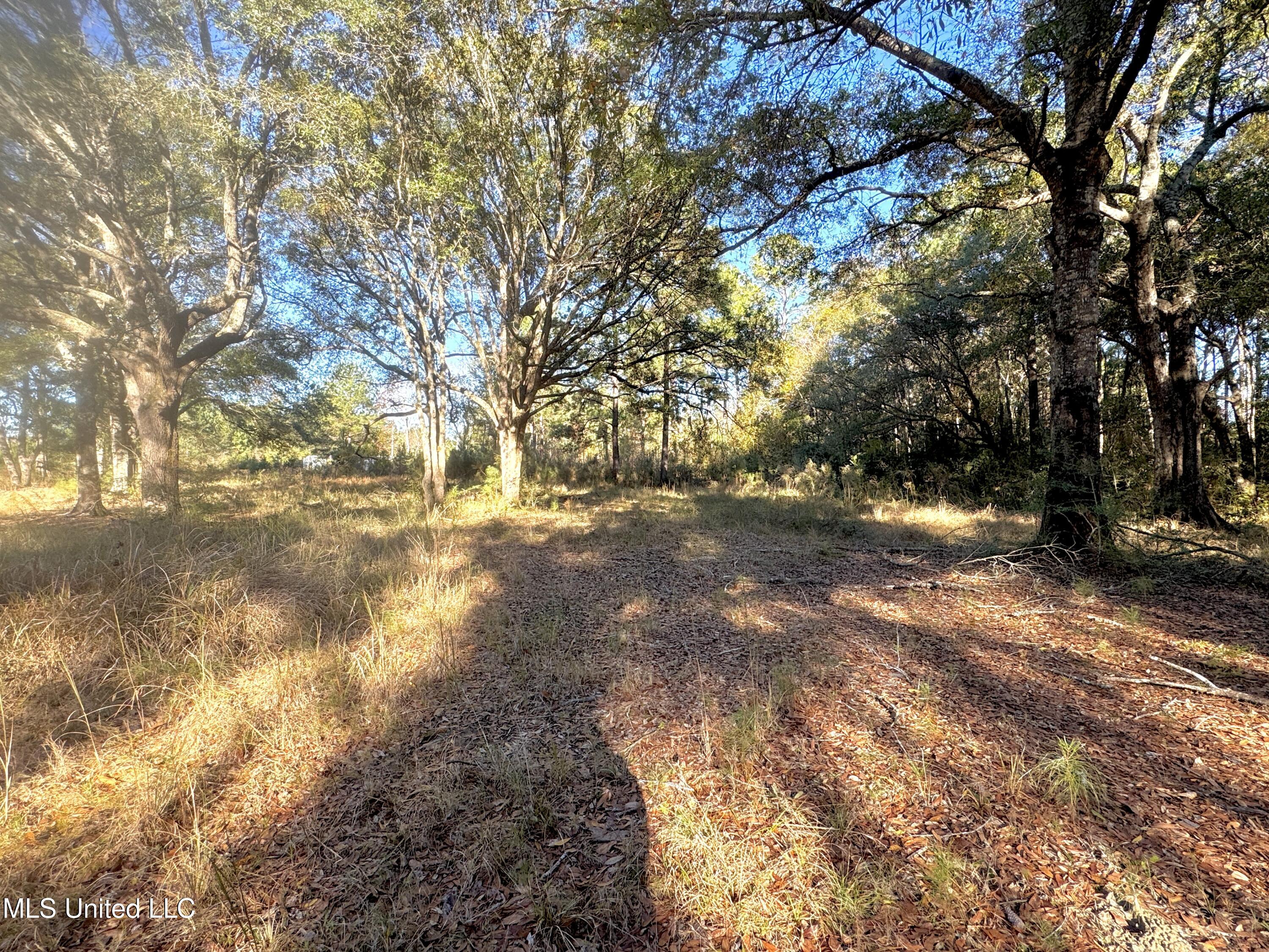 Rayford Shumock Road, Moss Point, Mississippi image 18