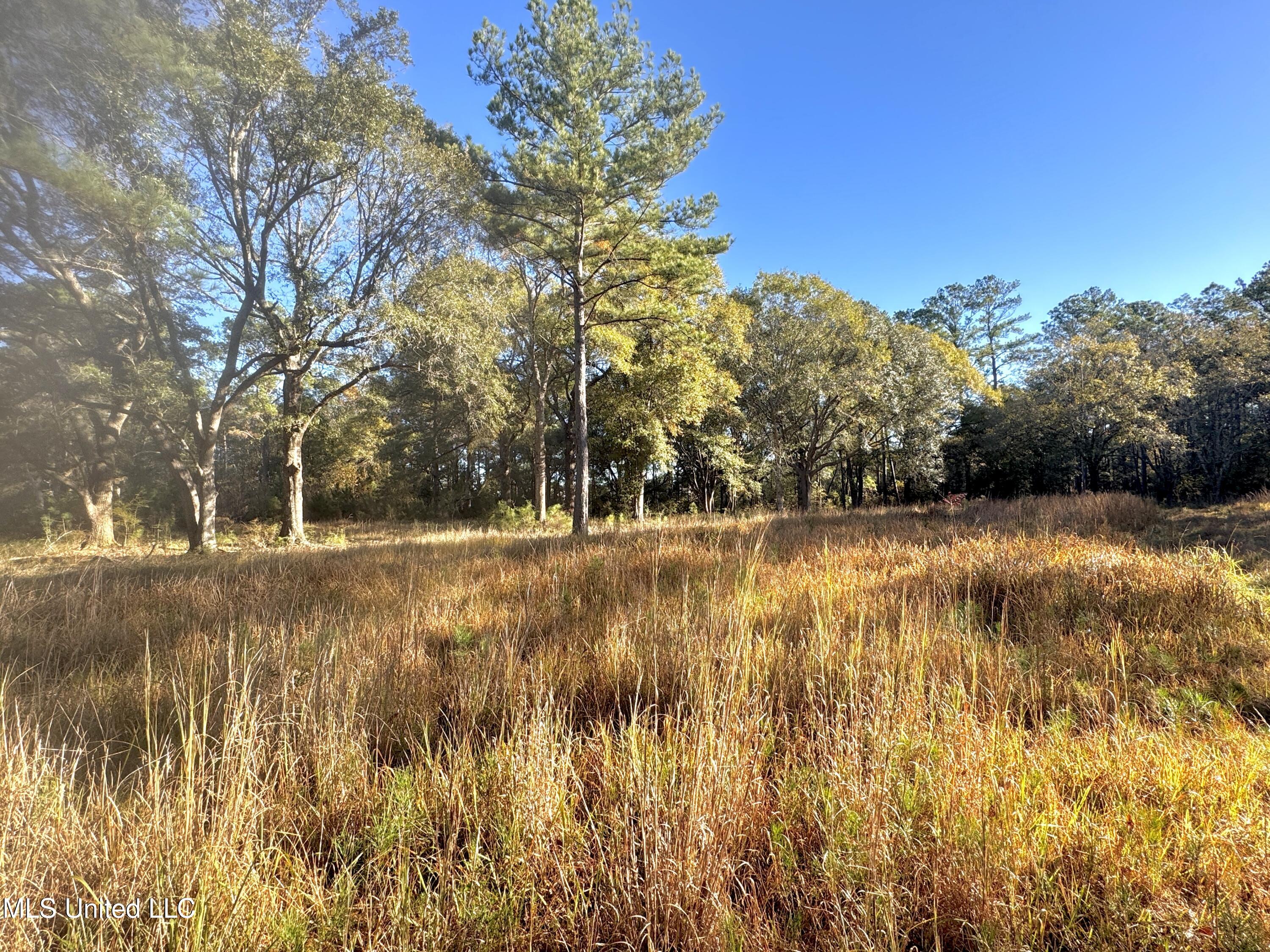 Rayford Shumock Road, Moss Point, Mississippi image 4