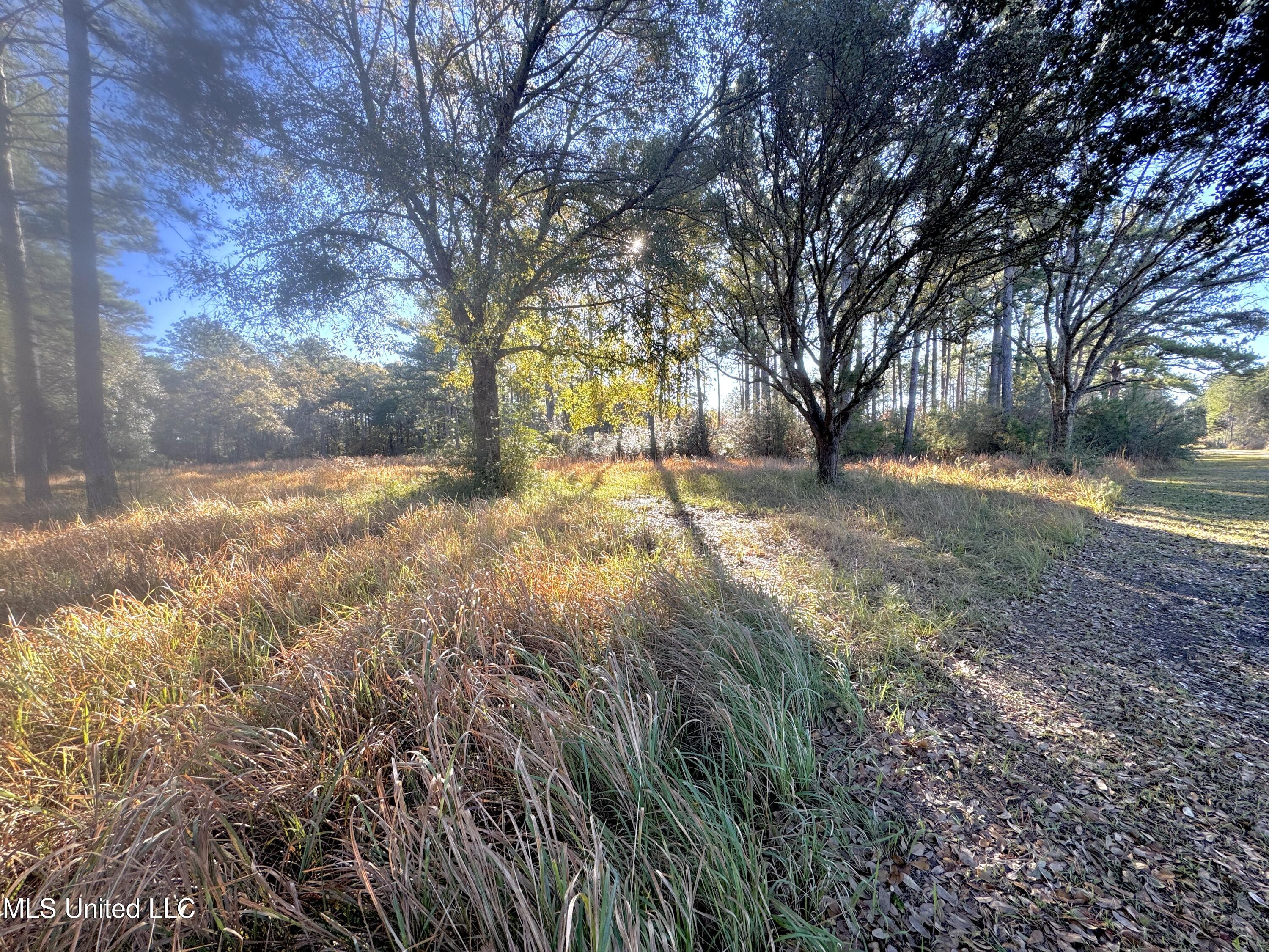 Rayford Shumock Road, Moss Point, Mississippi image 2