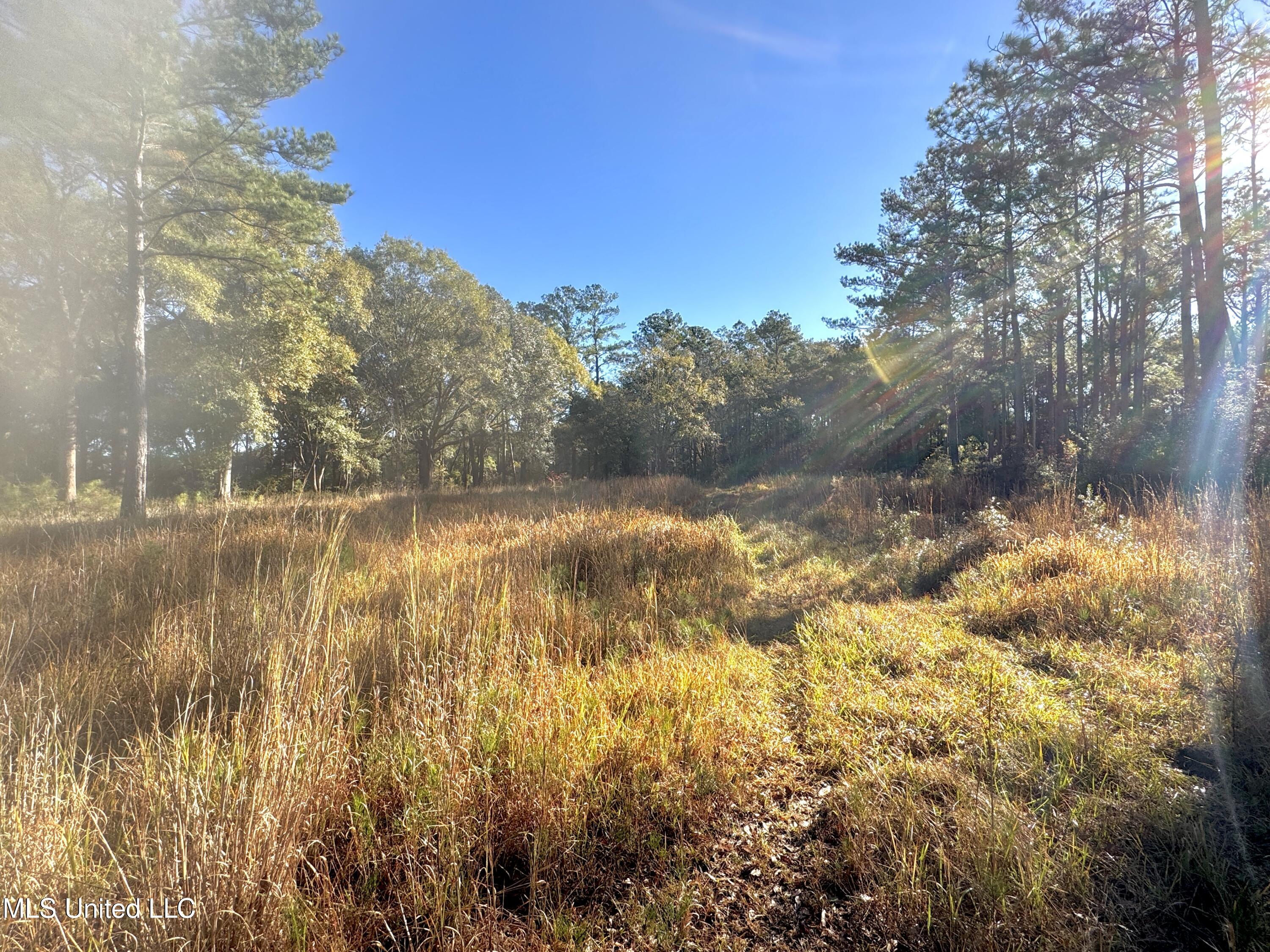 Rayford Shumock Road, Moss Point, Mississippi image 3