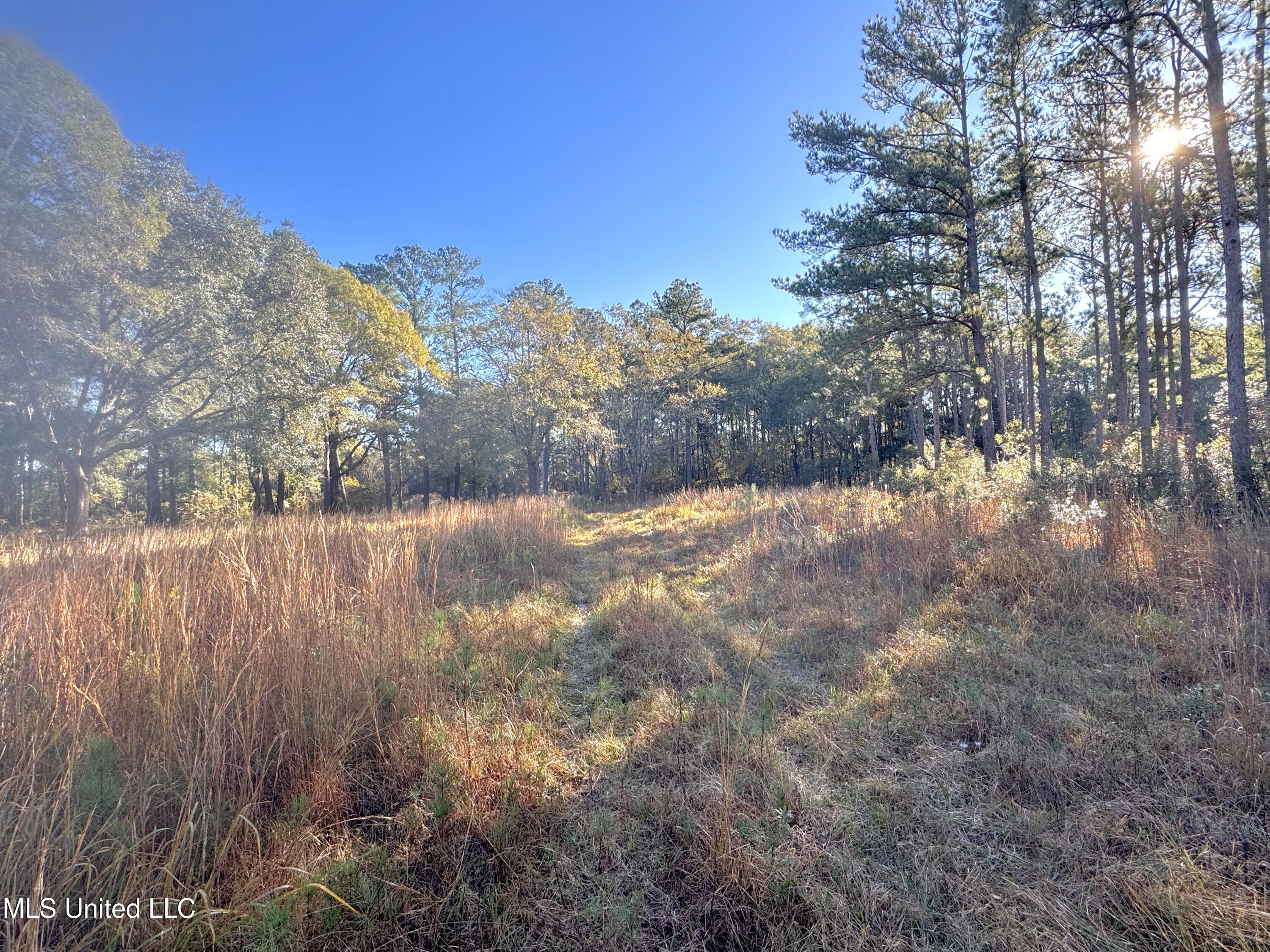 Rayford Shumock Road, Moss Point, Mississippi image 10