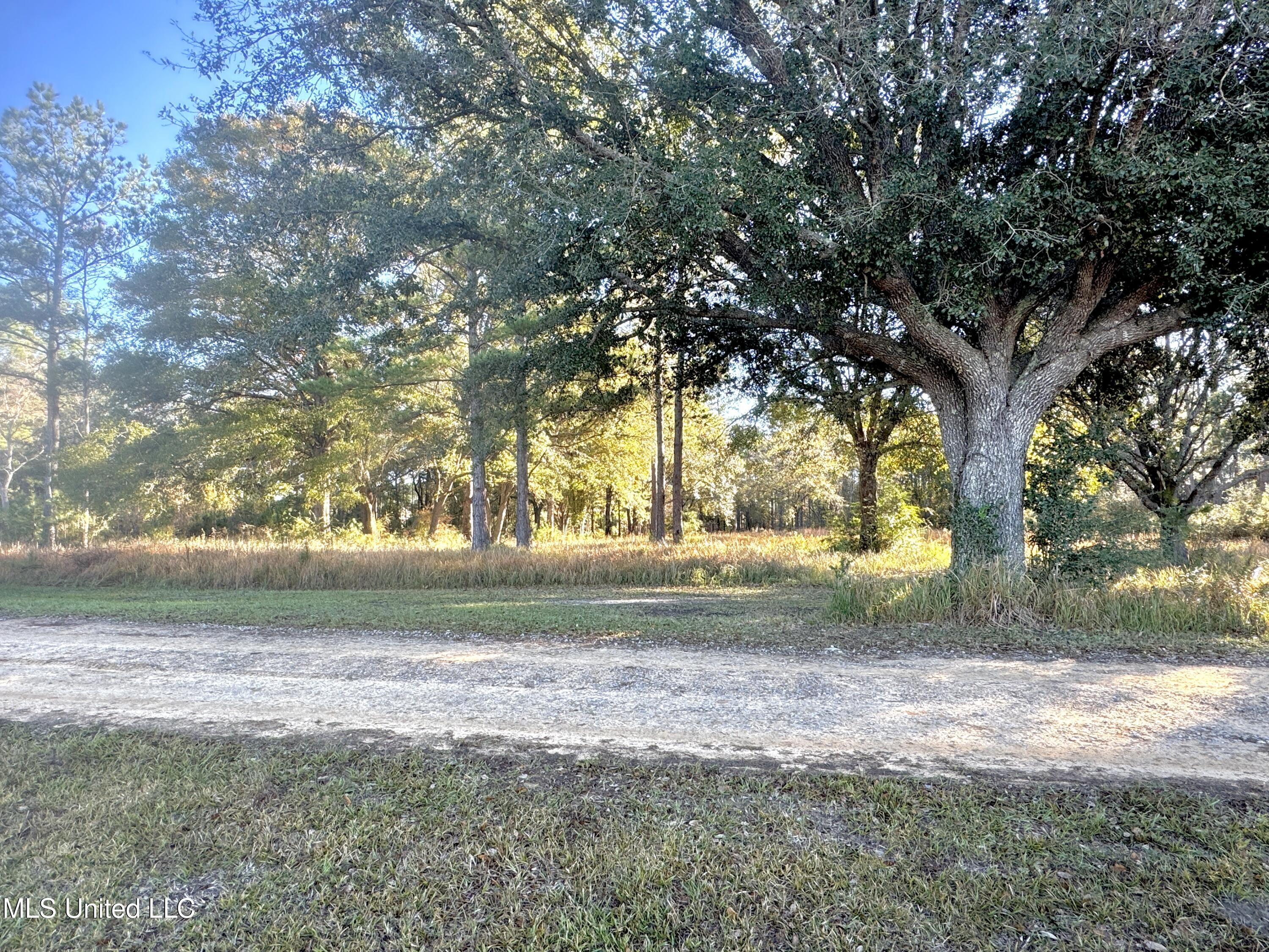 Rayford Shumock Road, Moss Point, Mississippi image 1