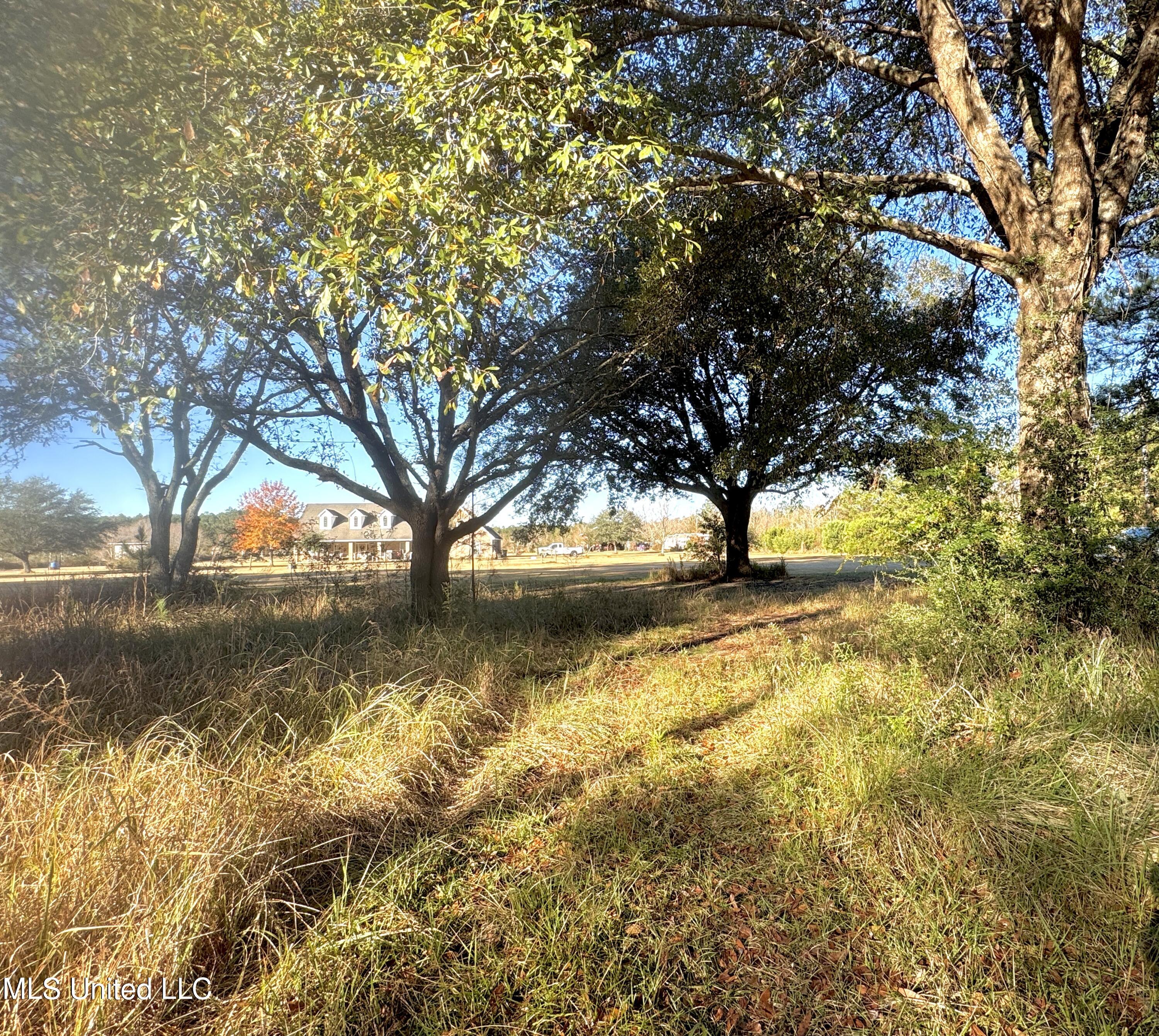 Rayford Shumock Road, Moss Point, Mississippi image 6