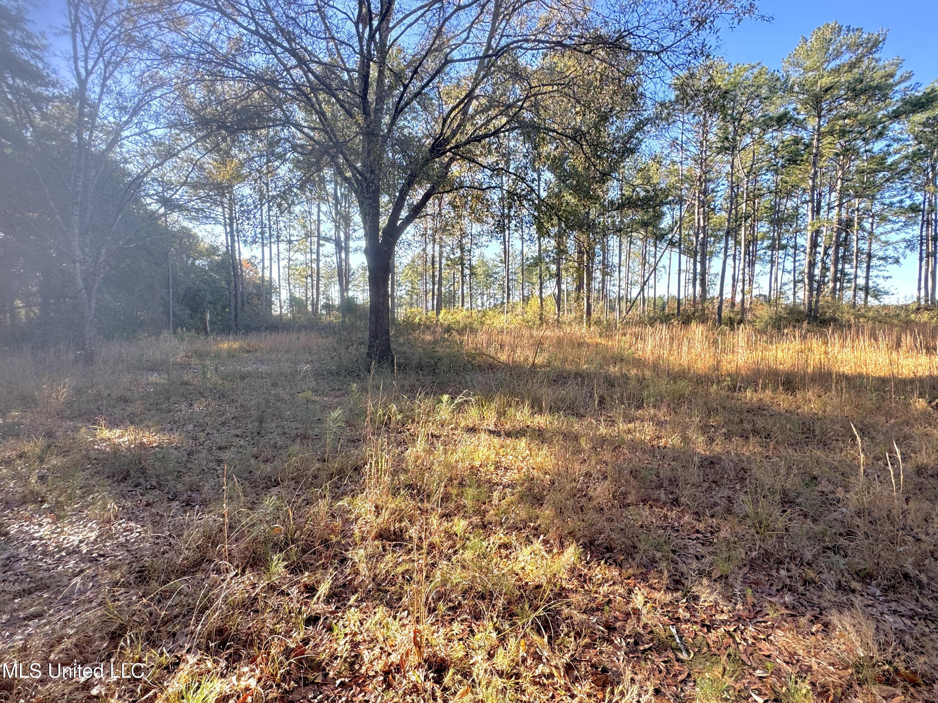 Rayford Shumock Road, Moss Point, Mississippi image 21