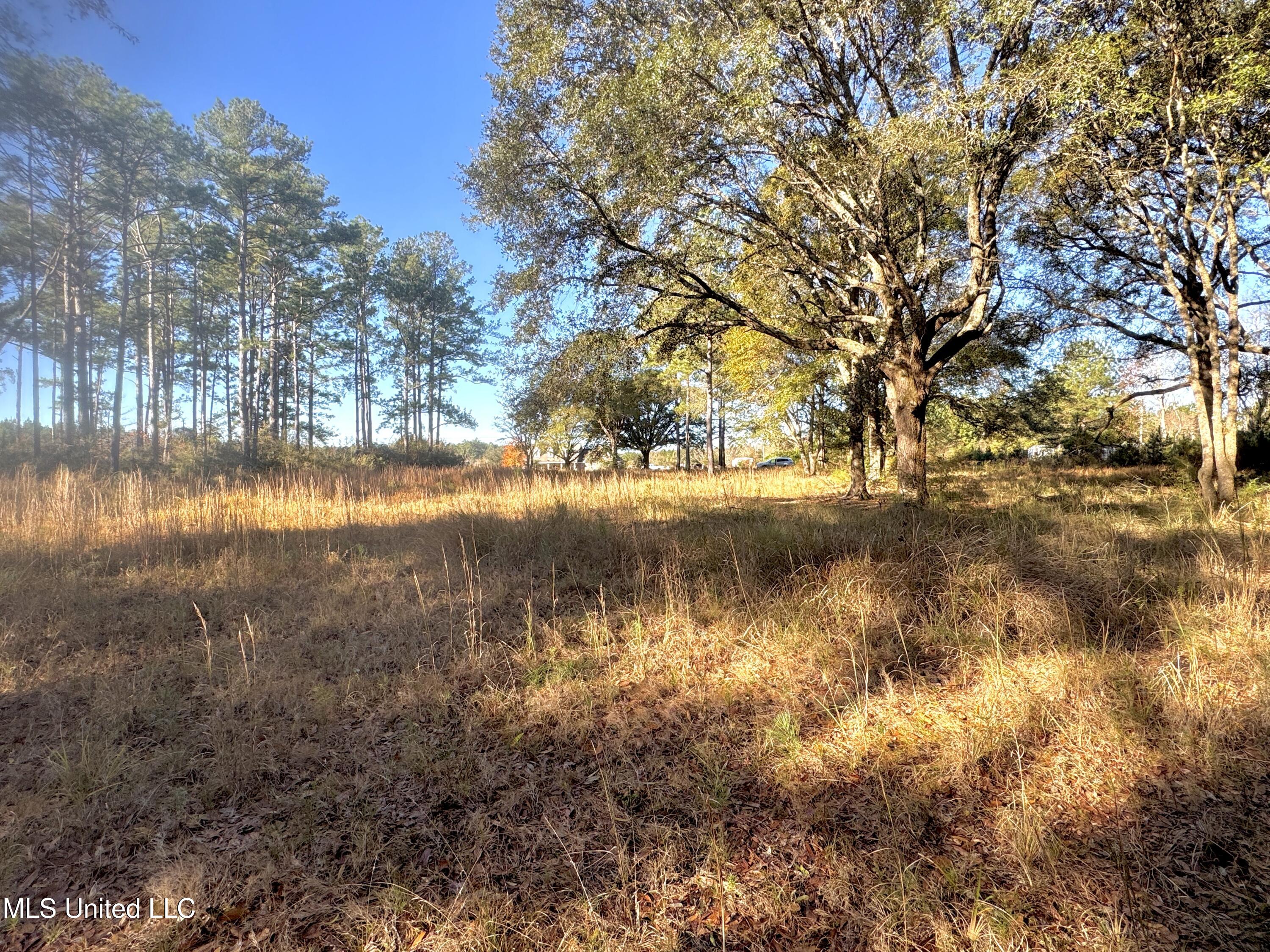 Rayford Shumock Road, Moss Point, Mississippi image 19