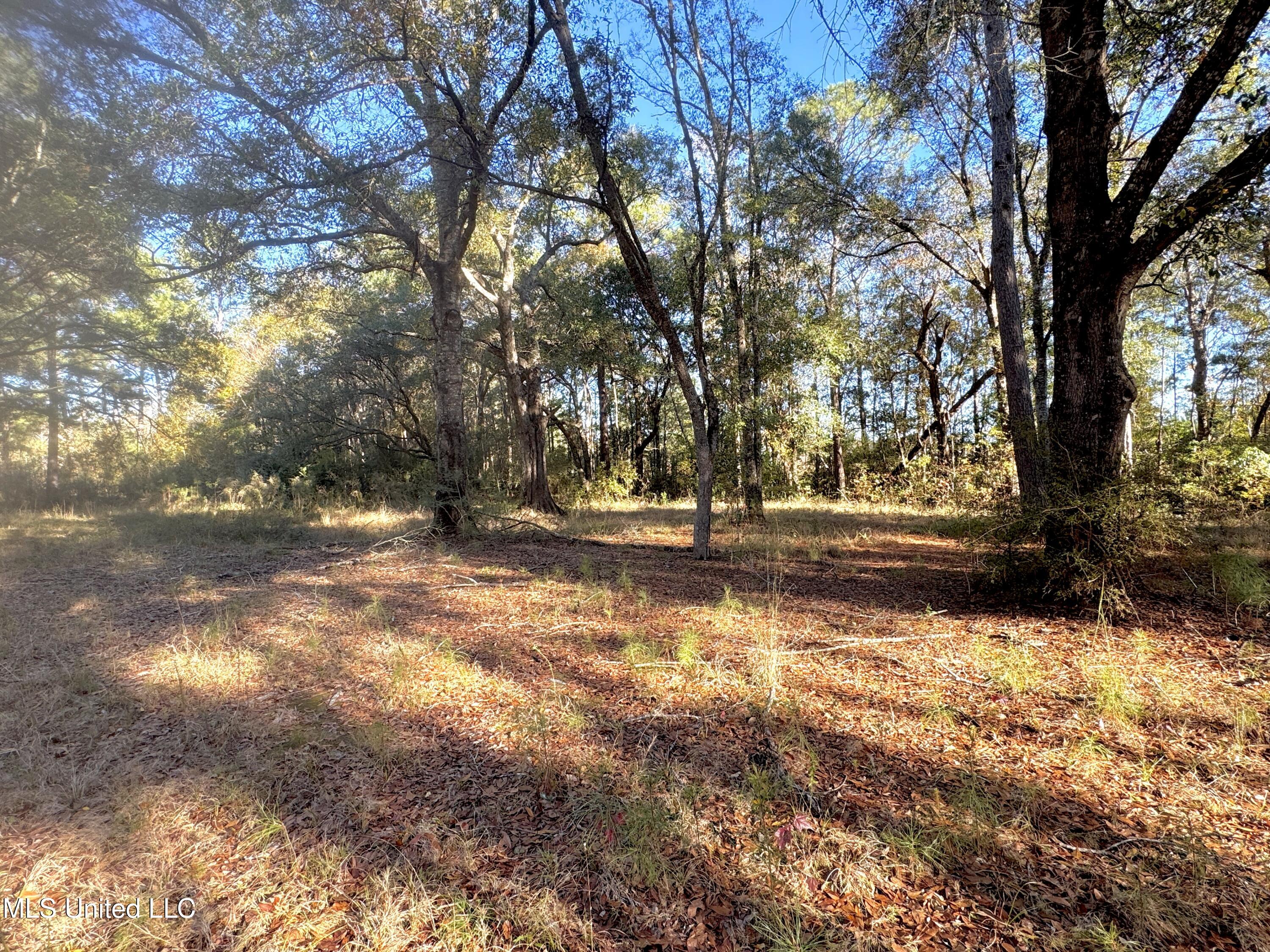 Rayford Shumock Road, Moss Point, Mississippi image 17