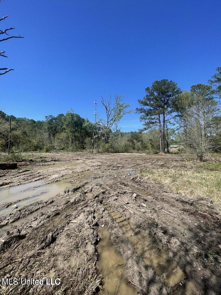 3521 Dale Lane, Moss Point, Mississippi image 2