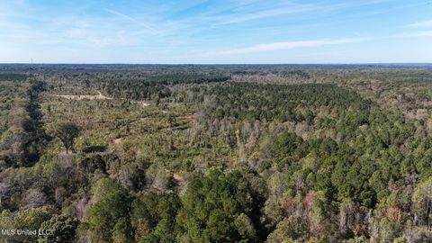 Vacant Land For Sale - County Road 1327<br/> Philadelphia, MS 39350
