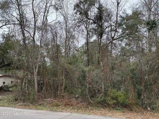 9762 LIMU WAY, DIAMONDHEAD, MS 39525 - Image d64de2ece6a5450129440f8795d9f0e2/1002674696