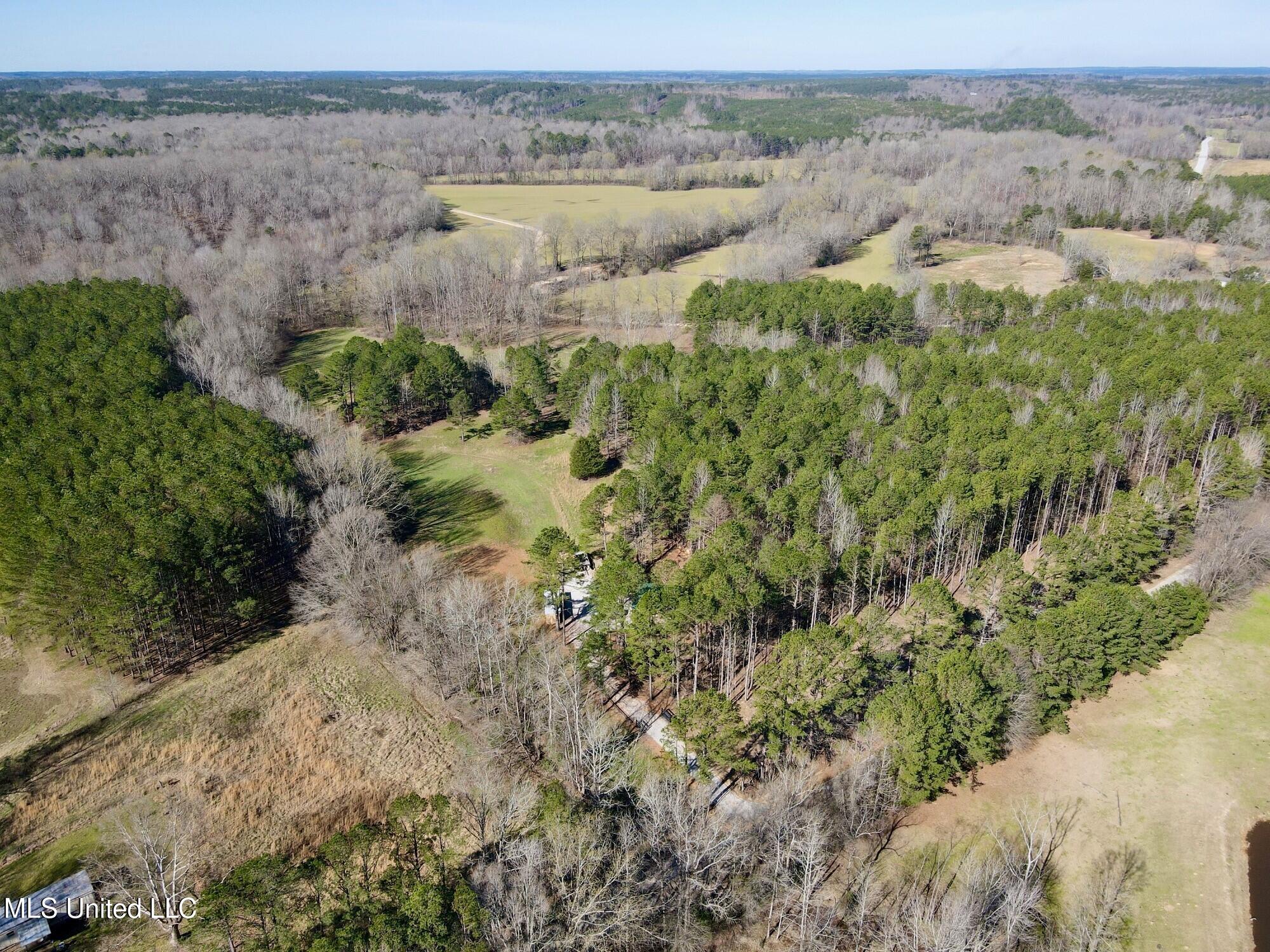 217 281, Banner, Mississippi image 12