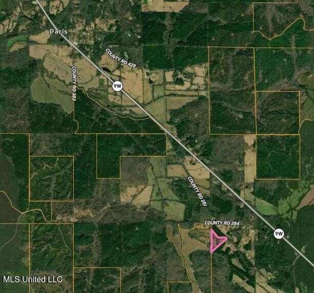 217 281, Banner, Mississippi image 5