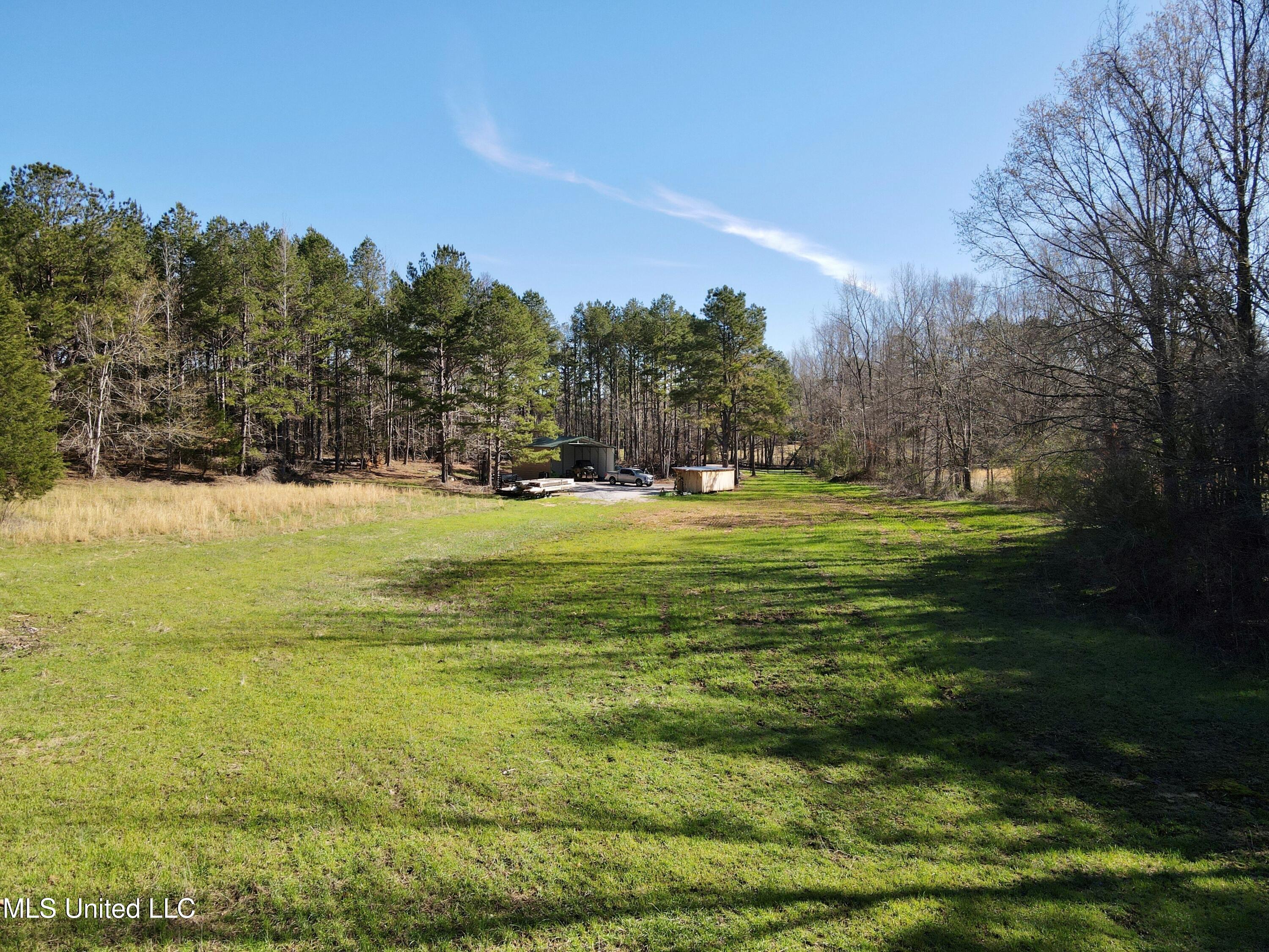 217 281, Banner, Mississippi image 8