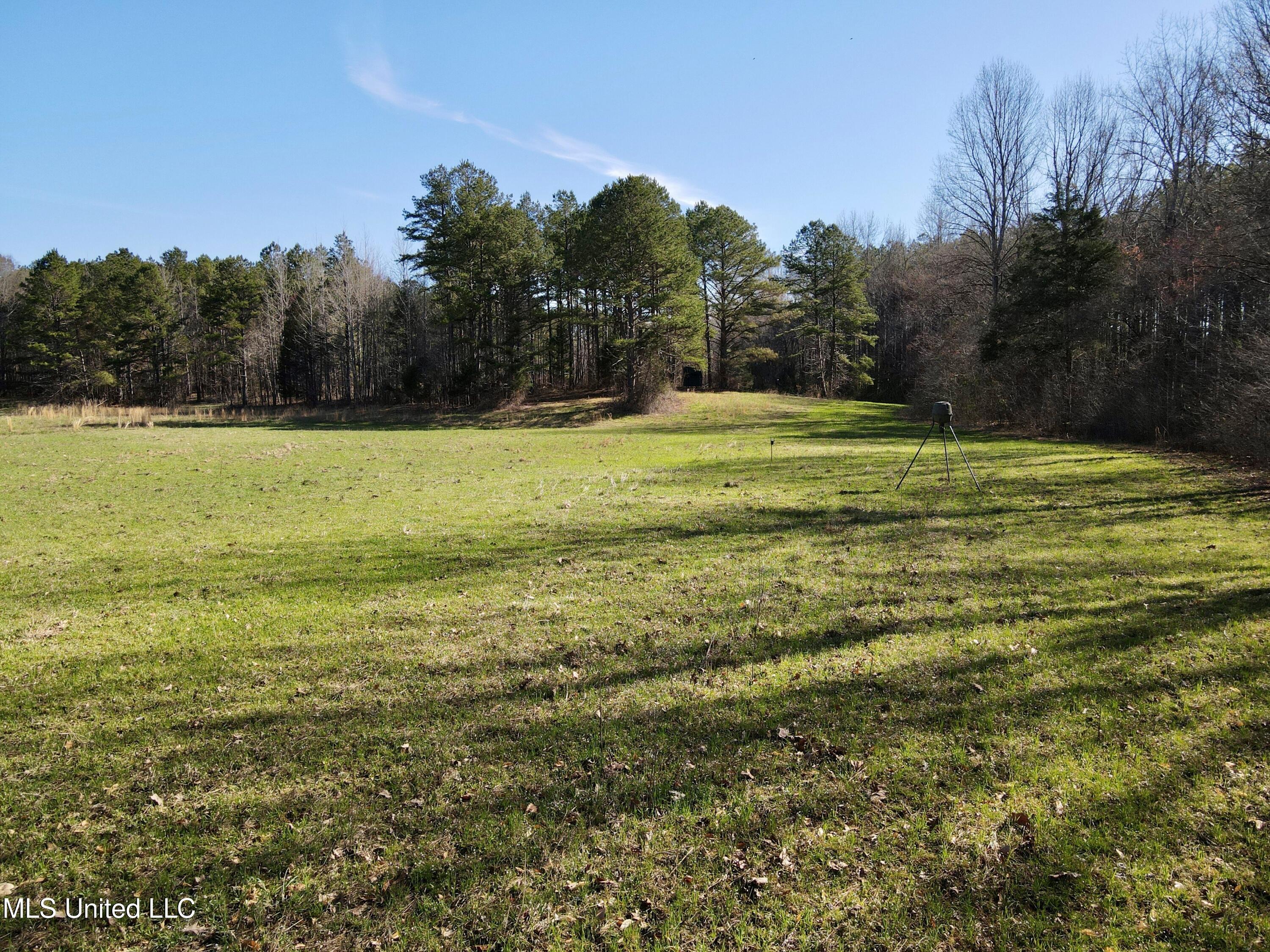 217 281, Banner, Mississippi image 13