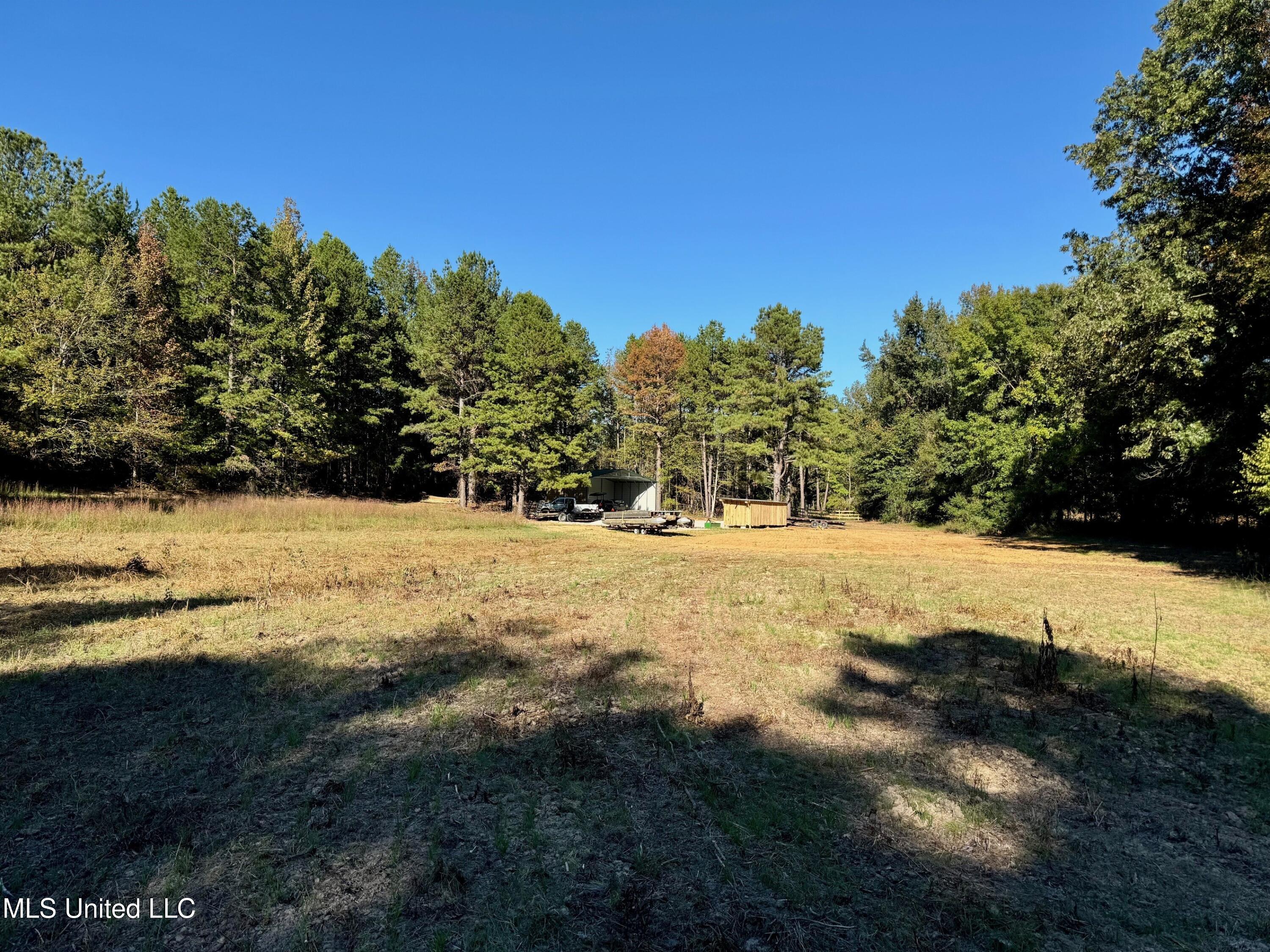 217 281, Banner, Mississippi image 9
