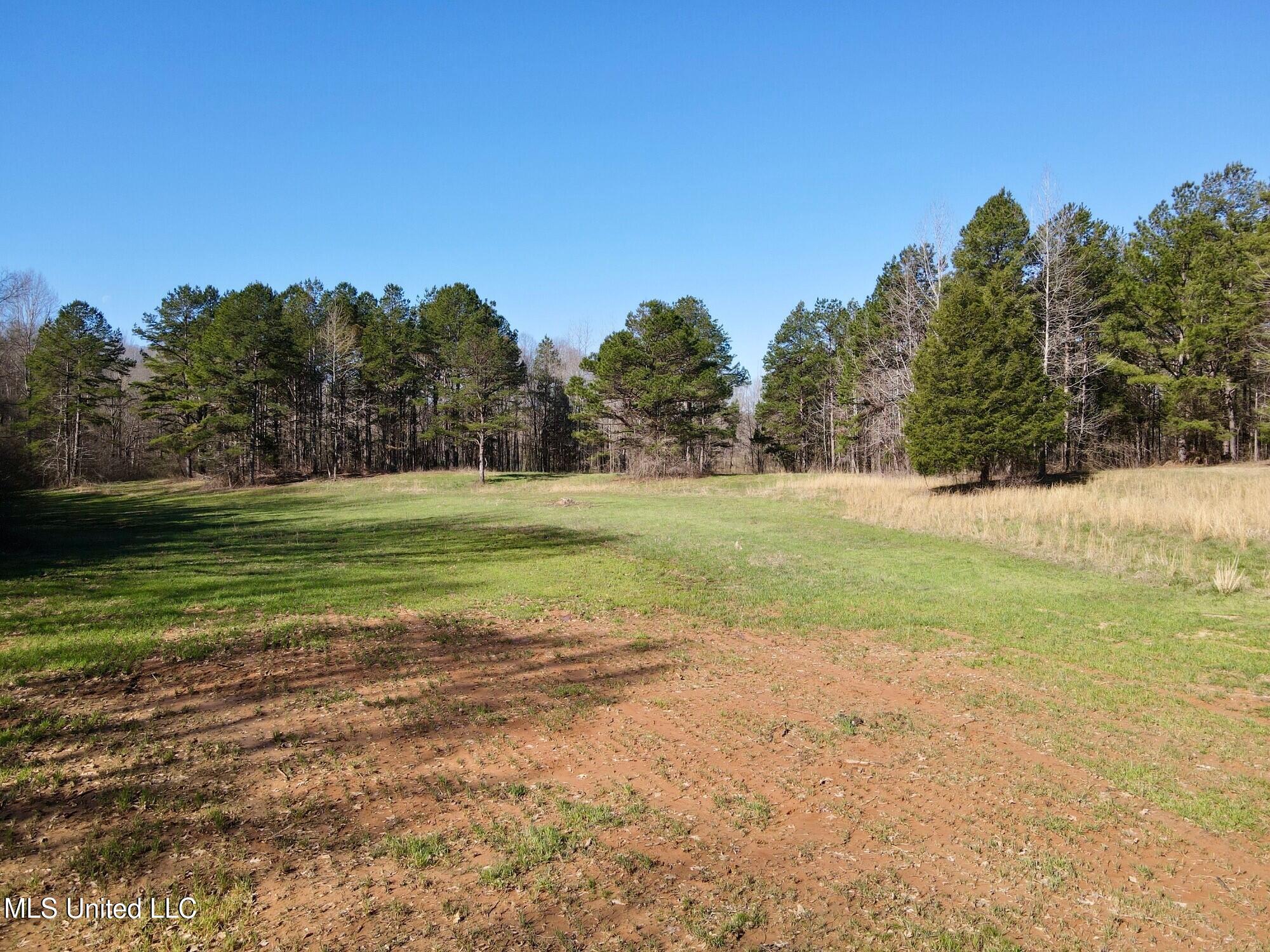217 281, Banner, Mississippi image 19