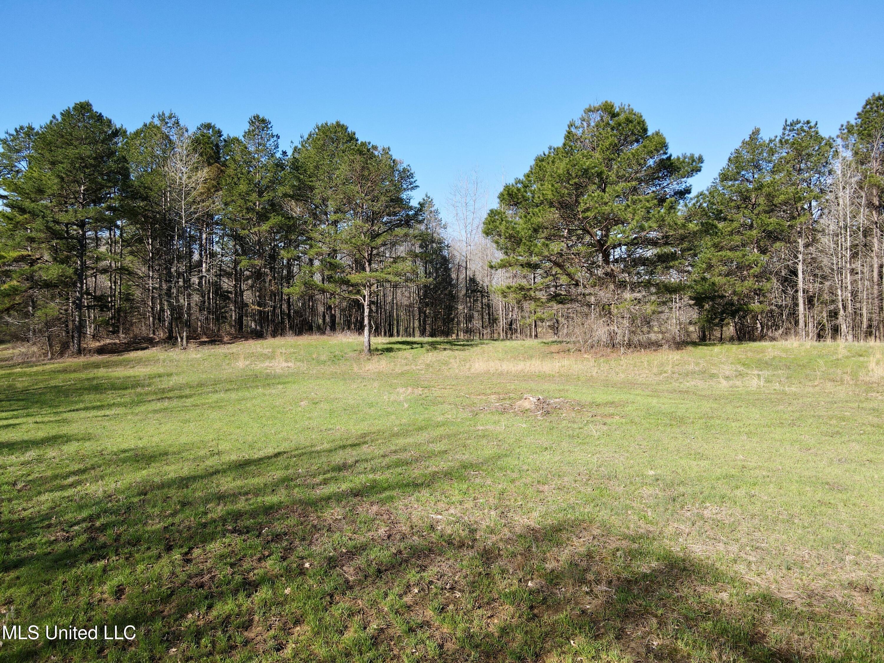 217 281, Banner, Mississippi image 3