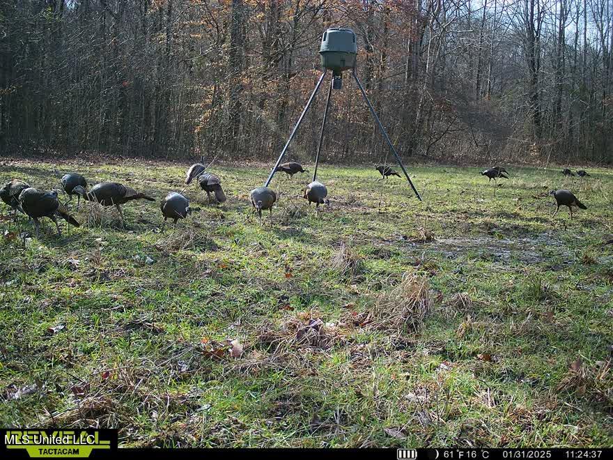 217 281, Banner, Mississippi image 17