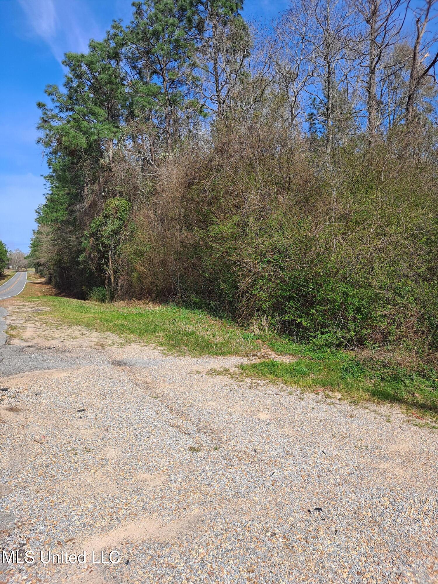 Hwy 612, Lucedale, Mississippi image 8