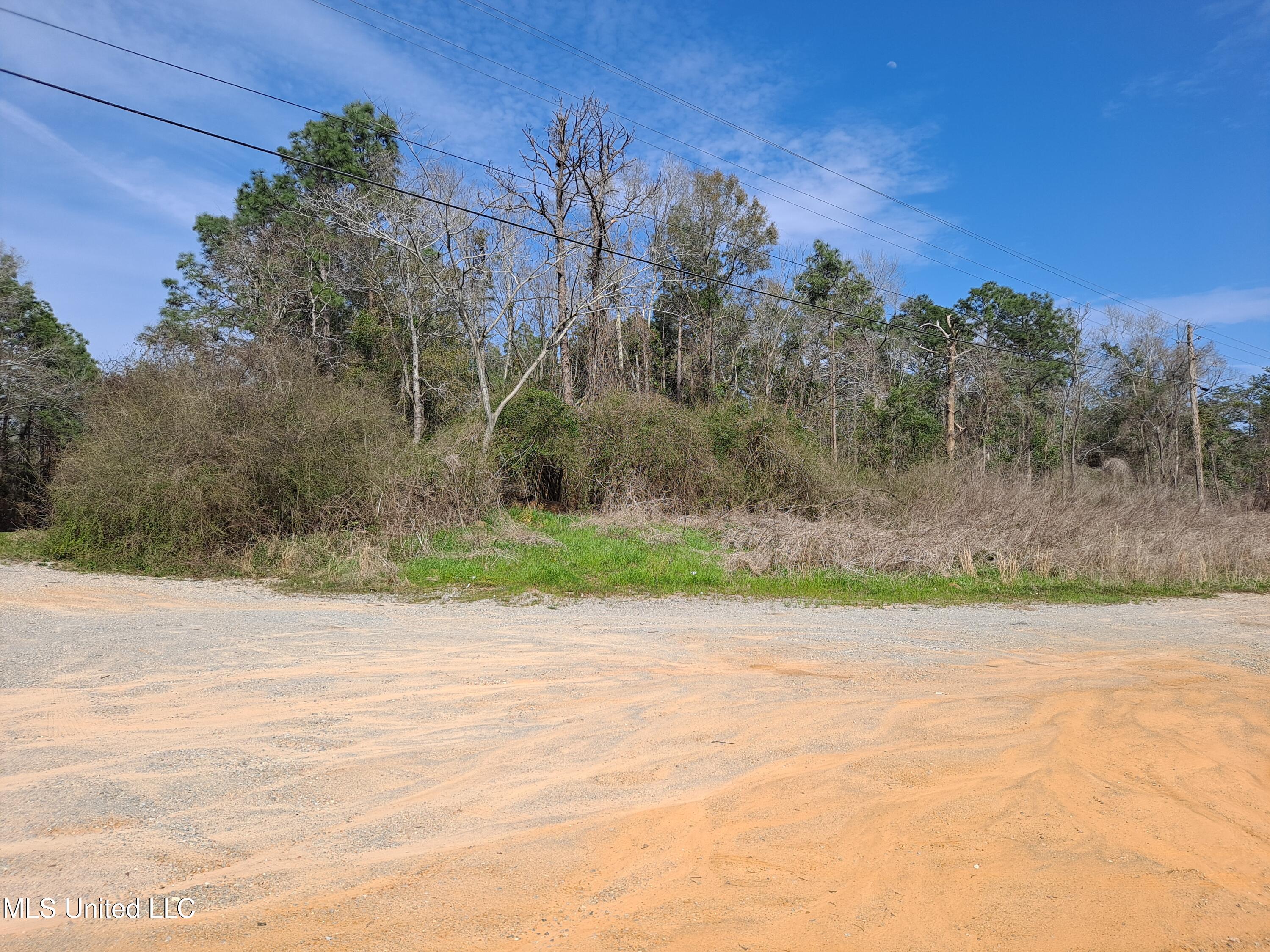 Hwy 612, Lucedale, Mississippi image 2