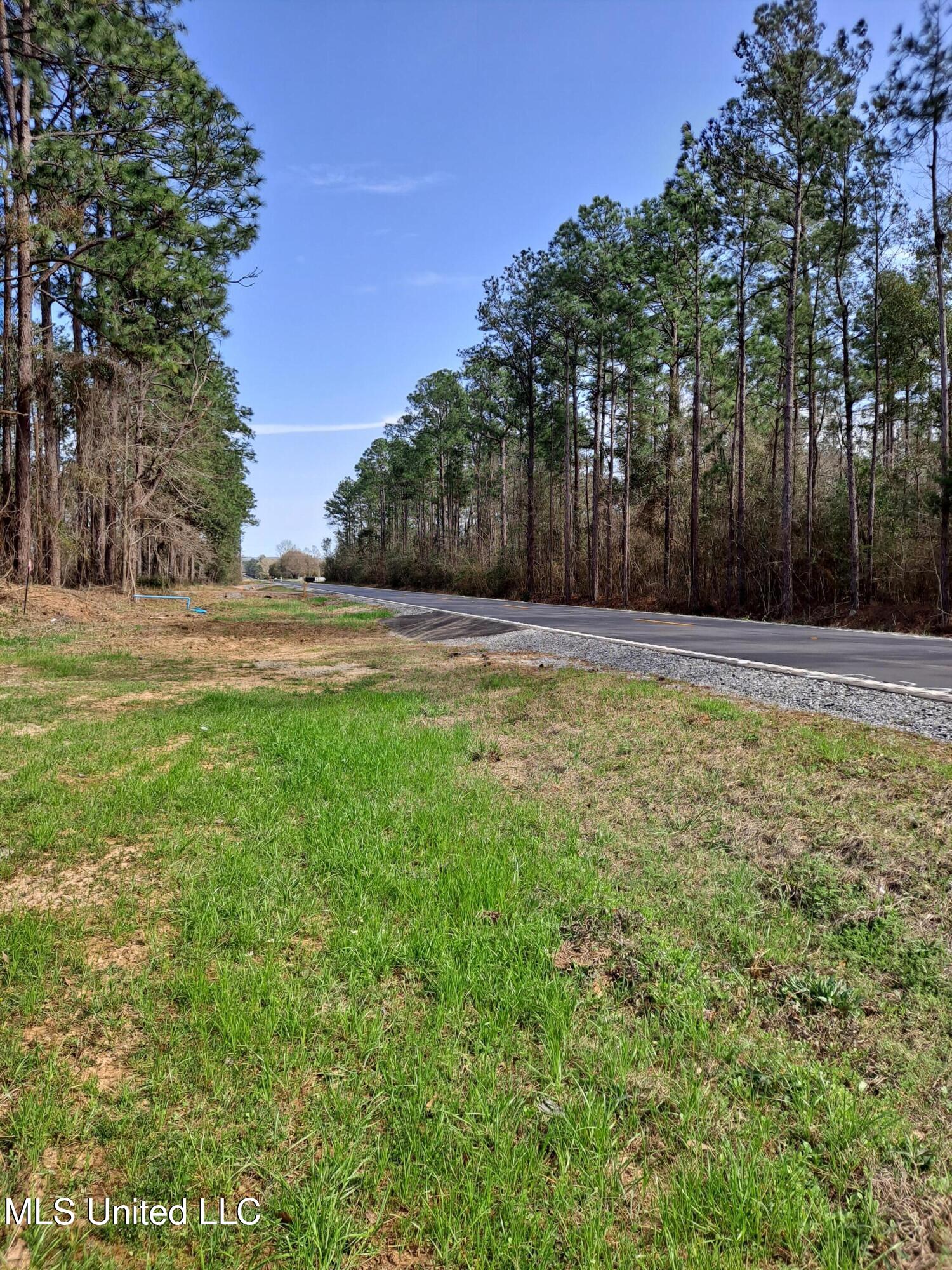 Hwy 612, Lucedale, Mississippi image 4