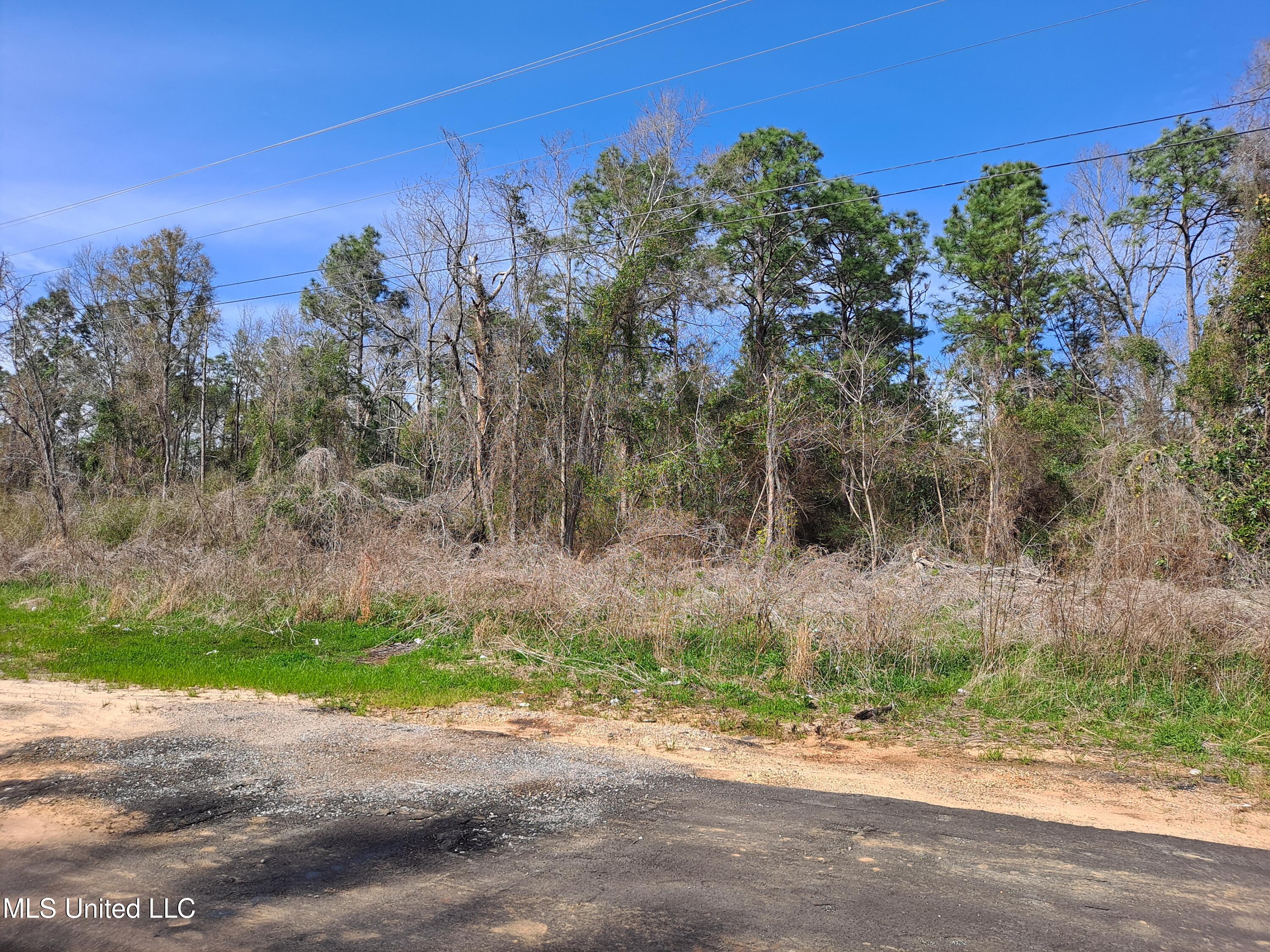 Hwy 612, Lucedale, Mississippi image 12
