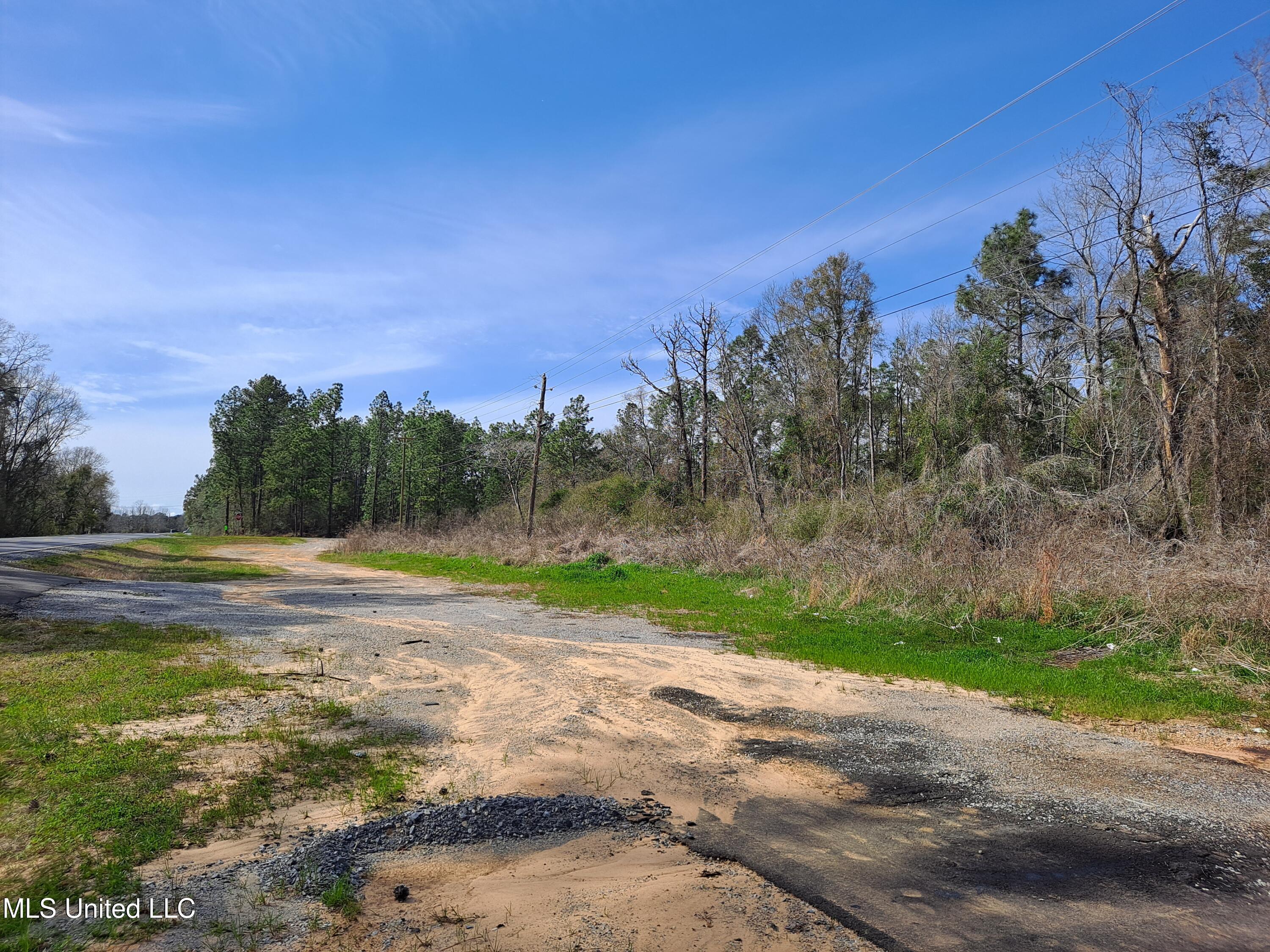 Hwy 612, Lucedale, Mississippi image 1