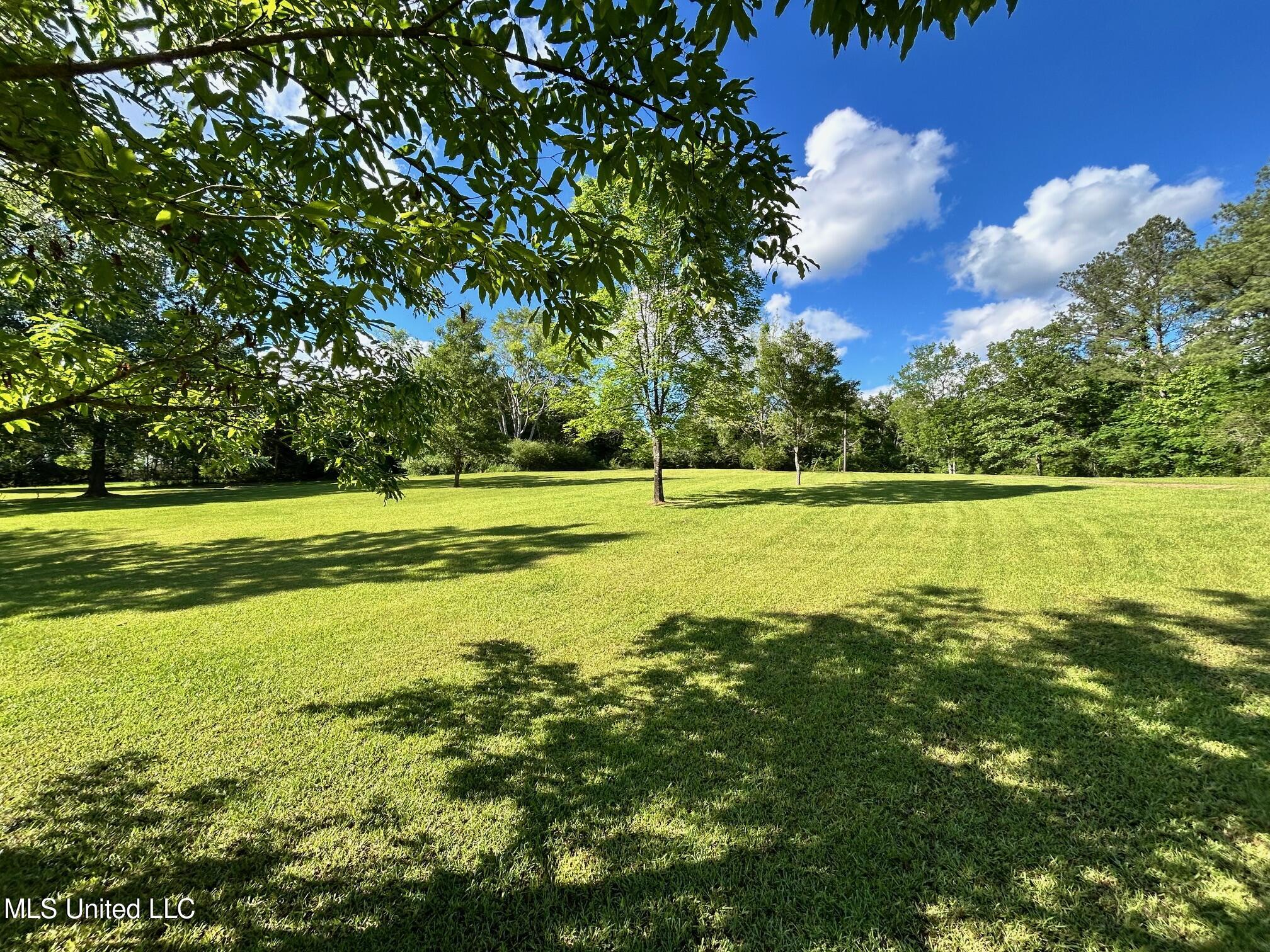 31019 N Ms 19 Highway, West, Mississippi image 13