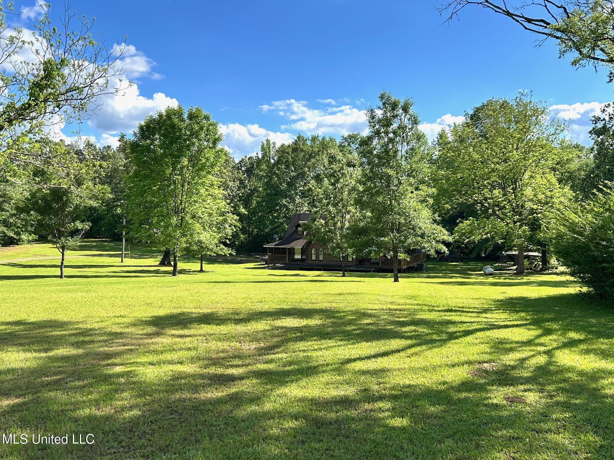 31019 N Ms 19 Highway, West, Mississippi image 8