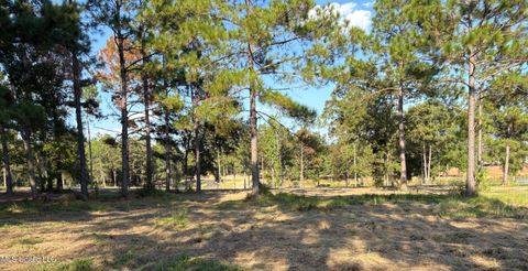 Vacant Land For Sale - Shellcracker Drive<br/> Lucedale, MS 39452