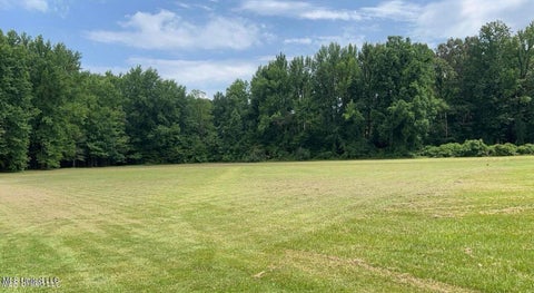 Vacant Land For Sale - 2288 Wanda Faye Drive<br/> Hernando, MS 38632