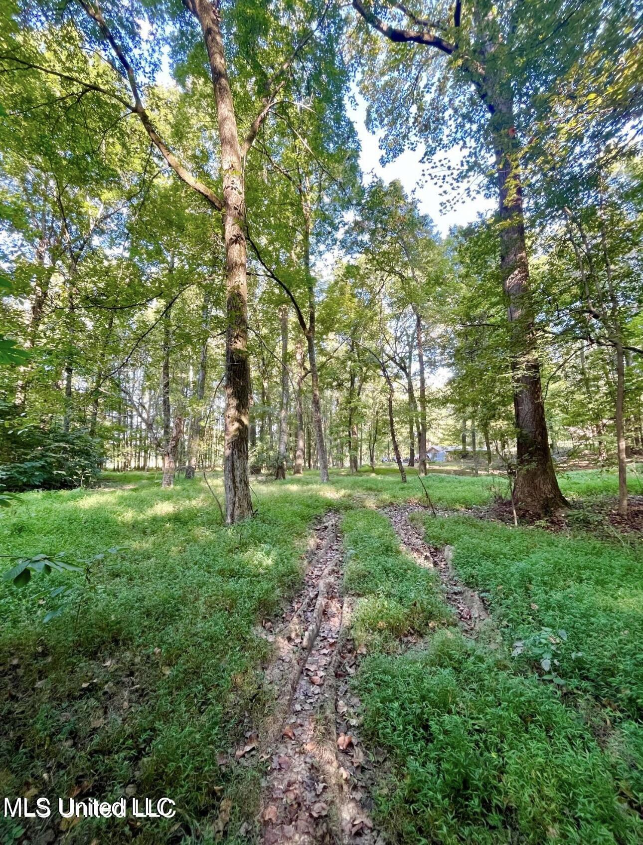 2288 Wanda Faye Drive, Hernando, Mississippi image 3