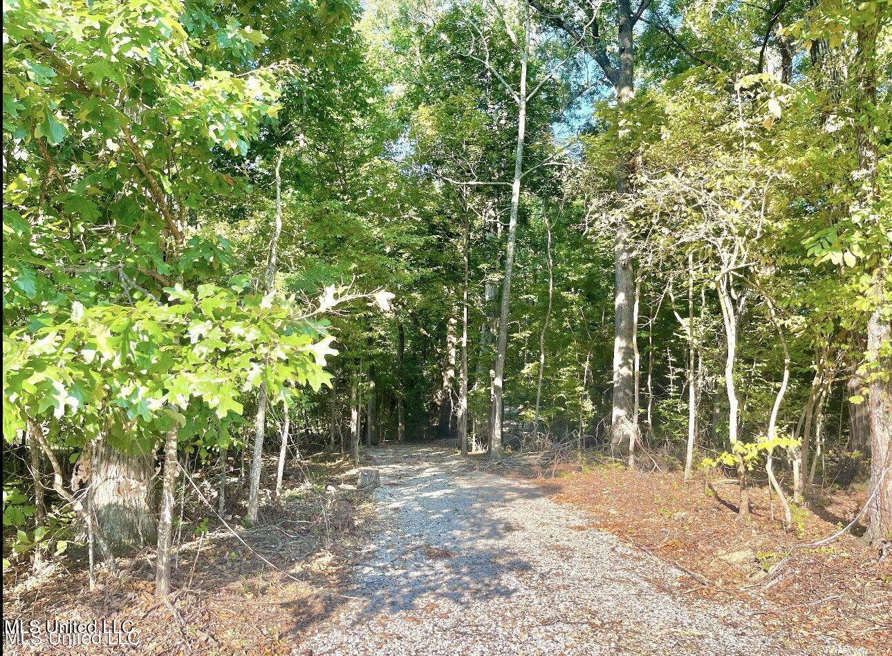 2288 Wanda Faye Drive, Hernando, Mississippi image 4