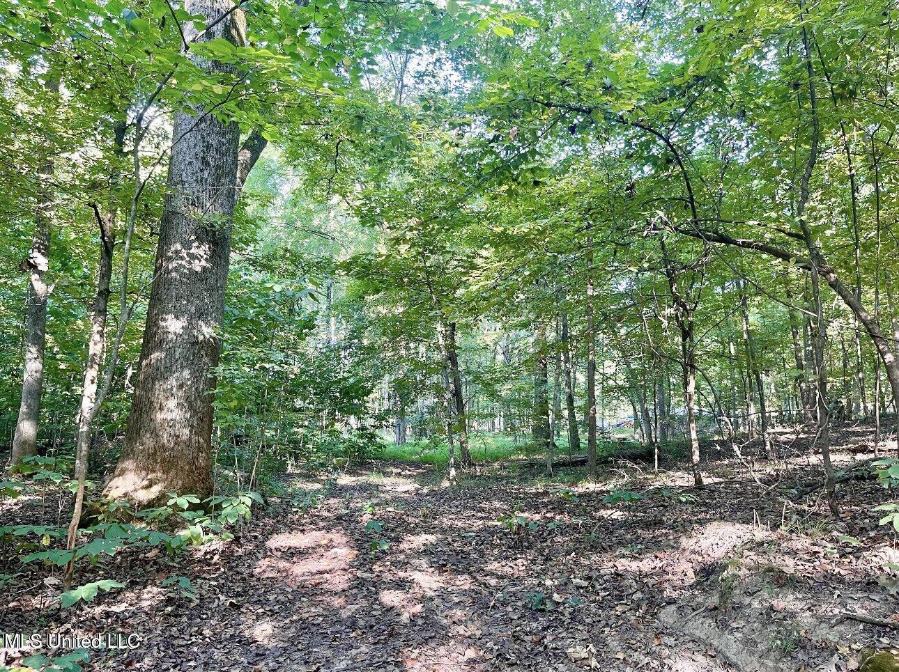 2288 Wanda Faye Drive, Hernando, Mississippi image 2