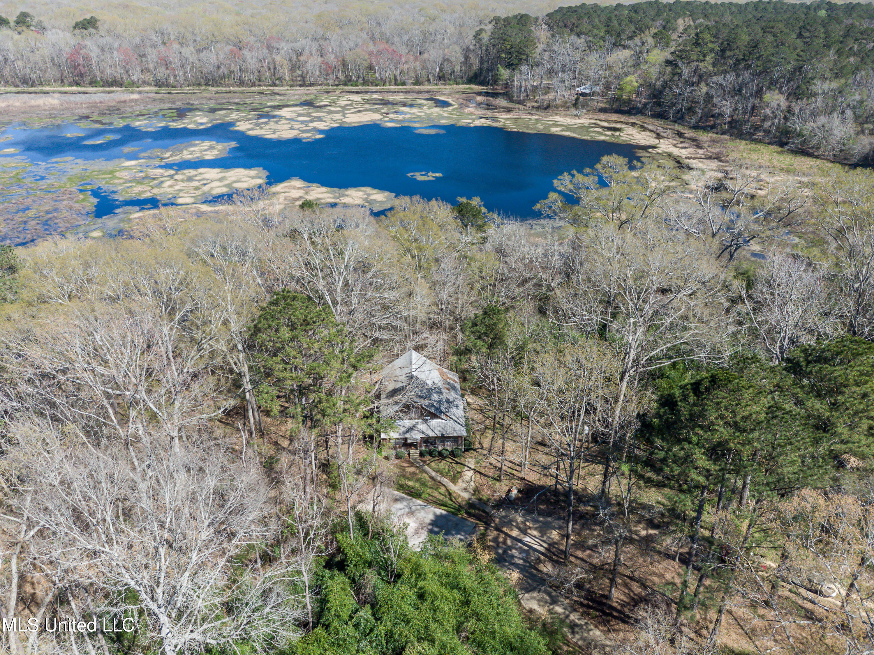 2406 Scr 563, Morton, Mississippi image 3