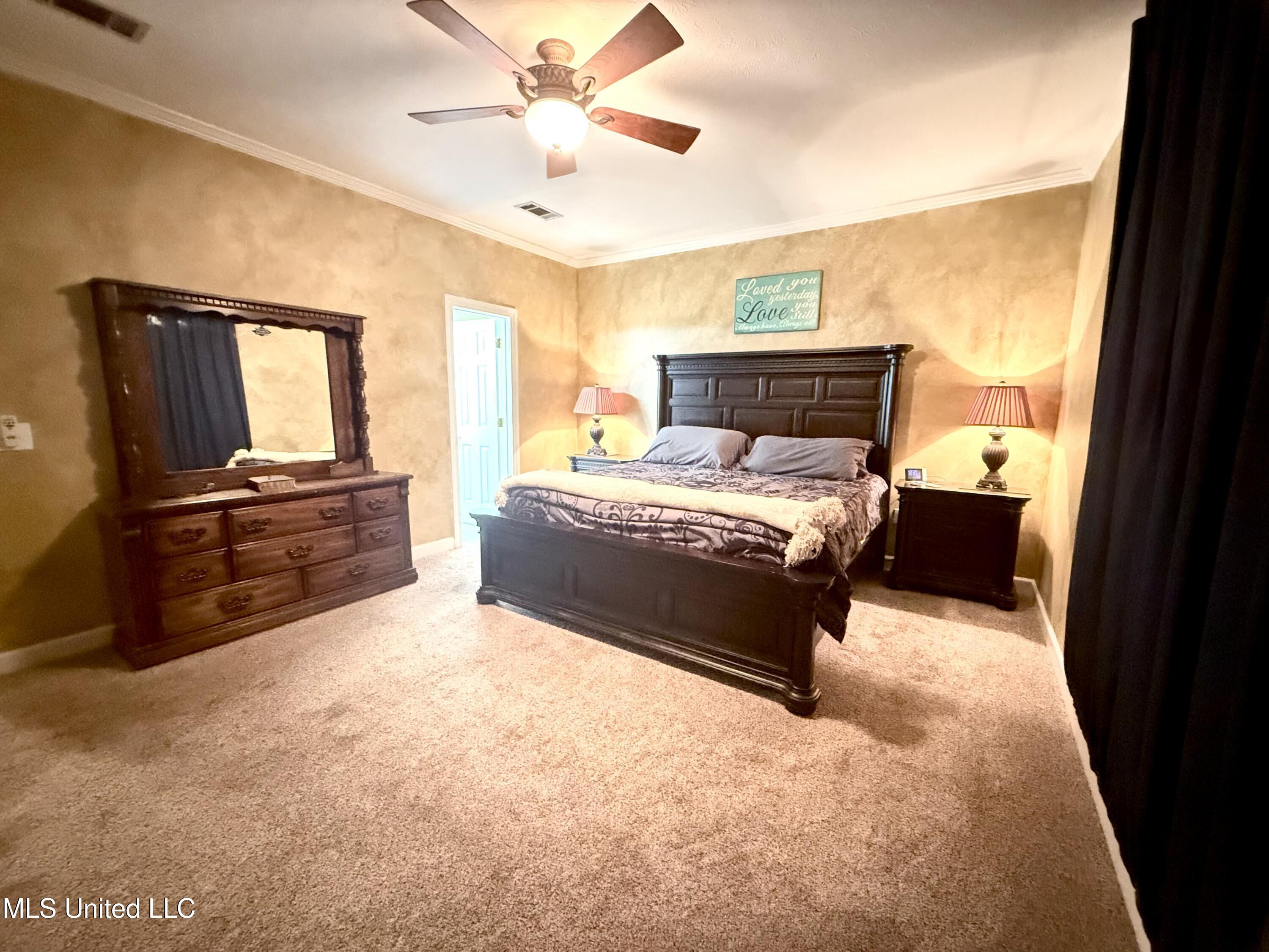 196 Woodlands Green Drive, Brandon, Mississippi image 23