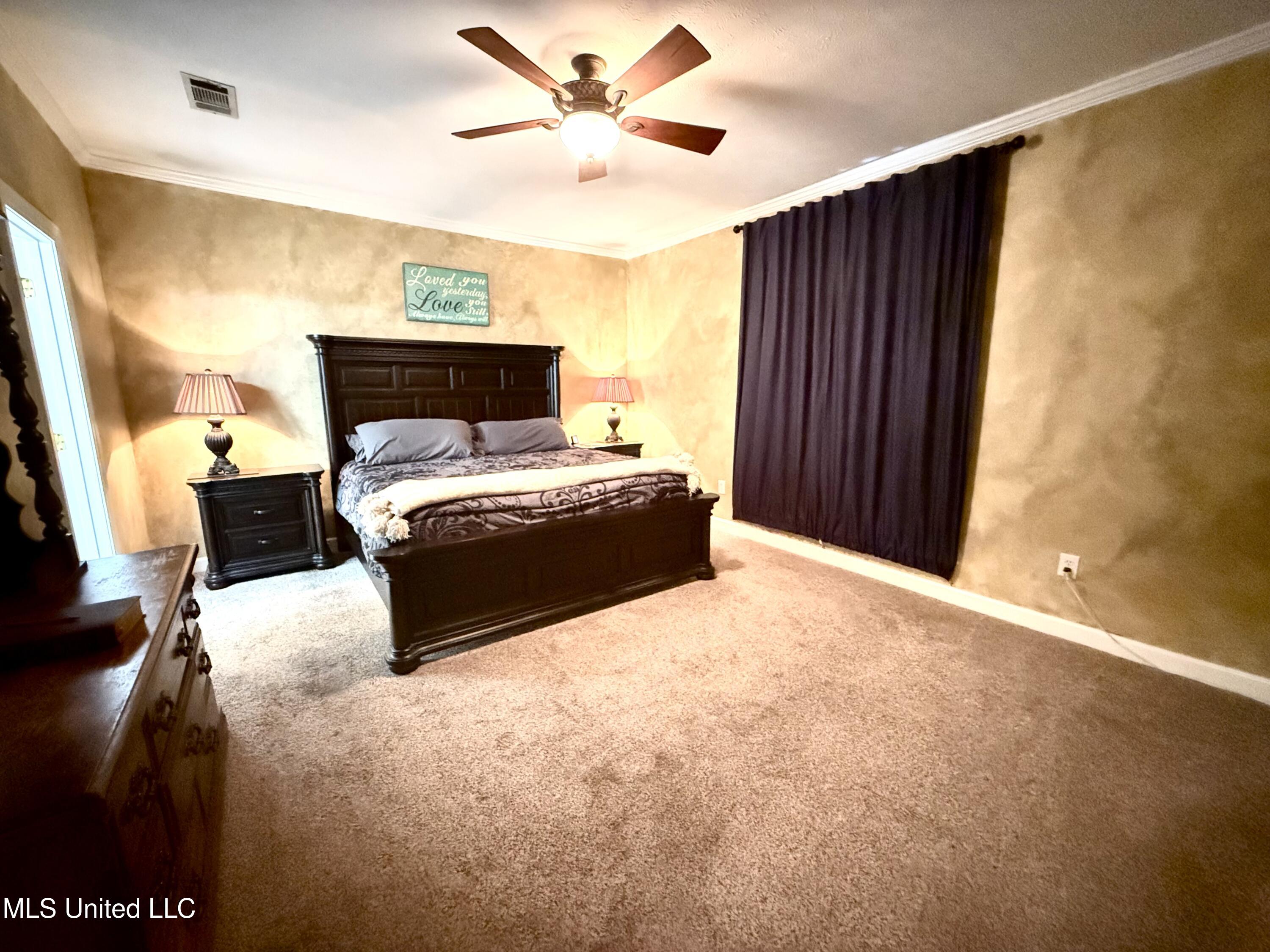 196 Woodlands Green Drive, Brandon, Mississippi image 22