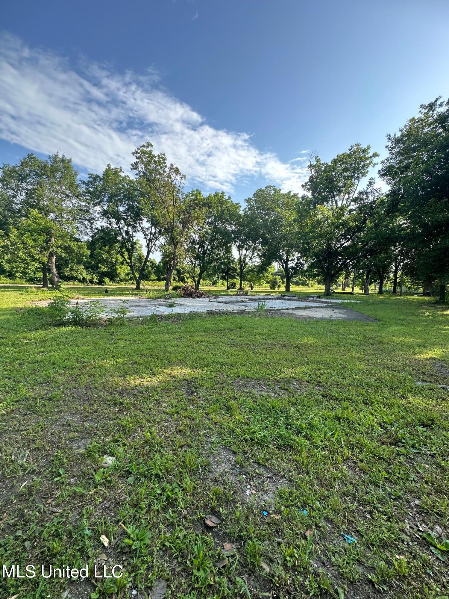 Windmill Road Road, Greenville, Mississippi image 12